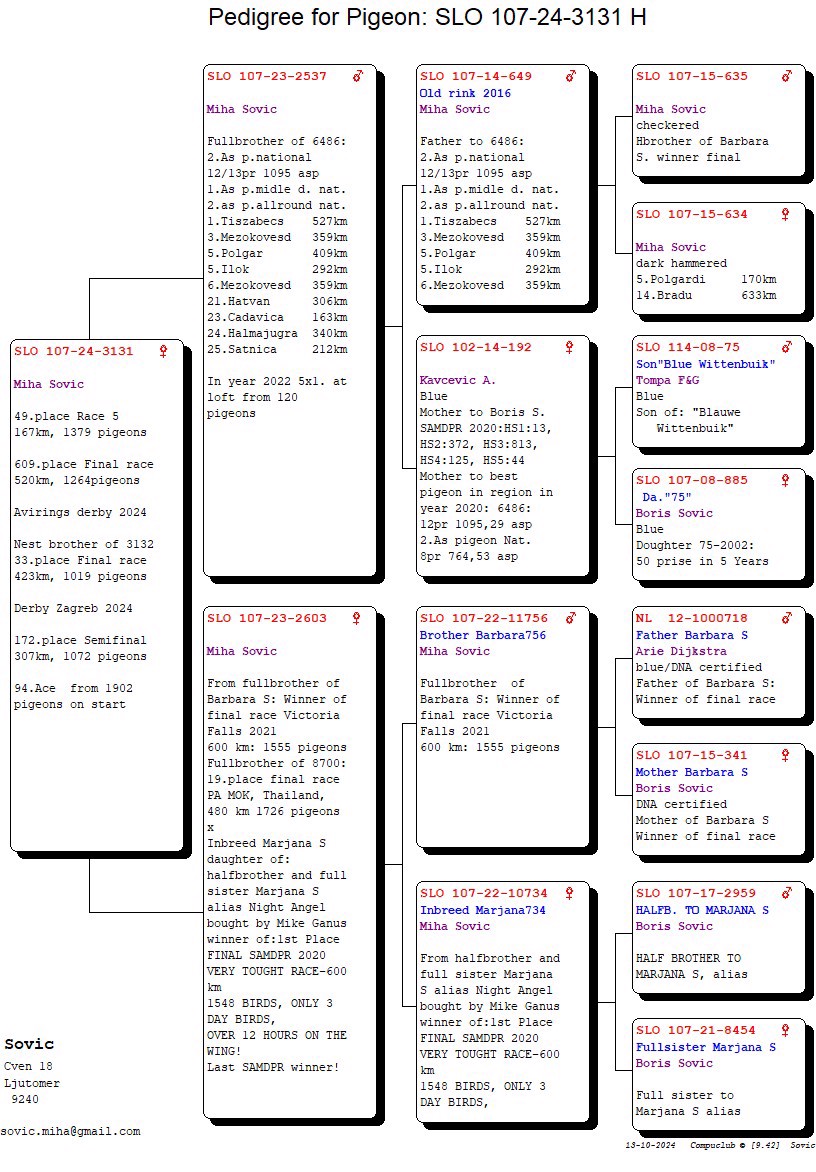 Pigeon pedigree image