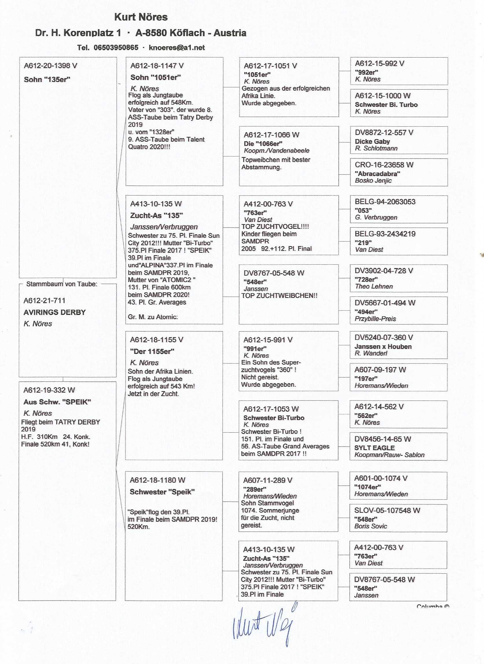 Pigeon pedigree image