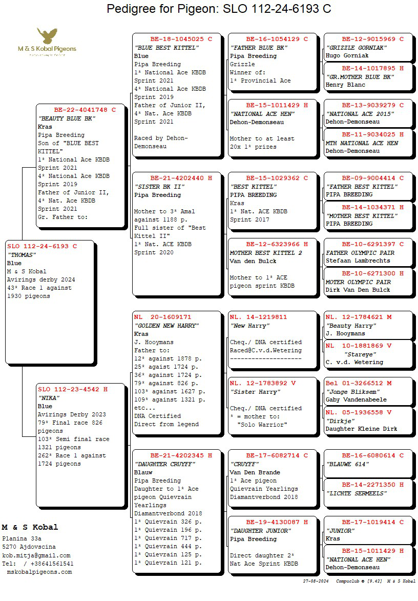 Pigeon pedigree image