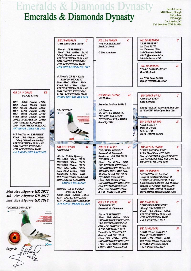 Pigeon pedigree image