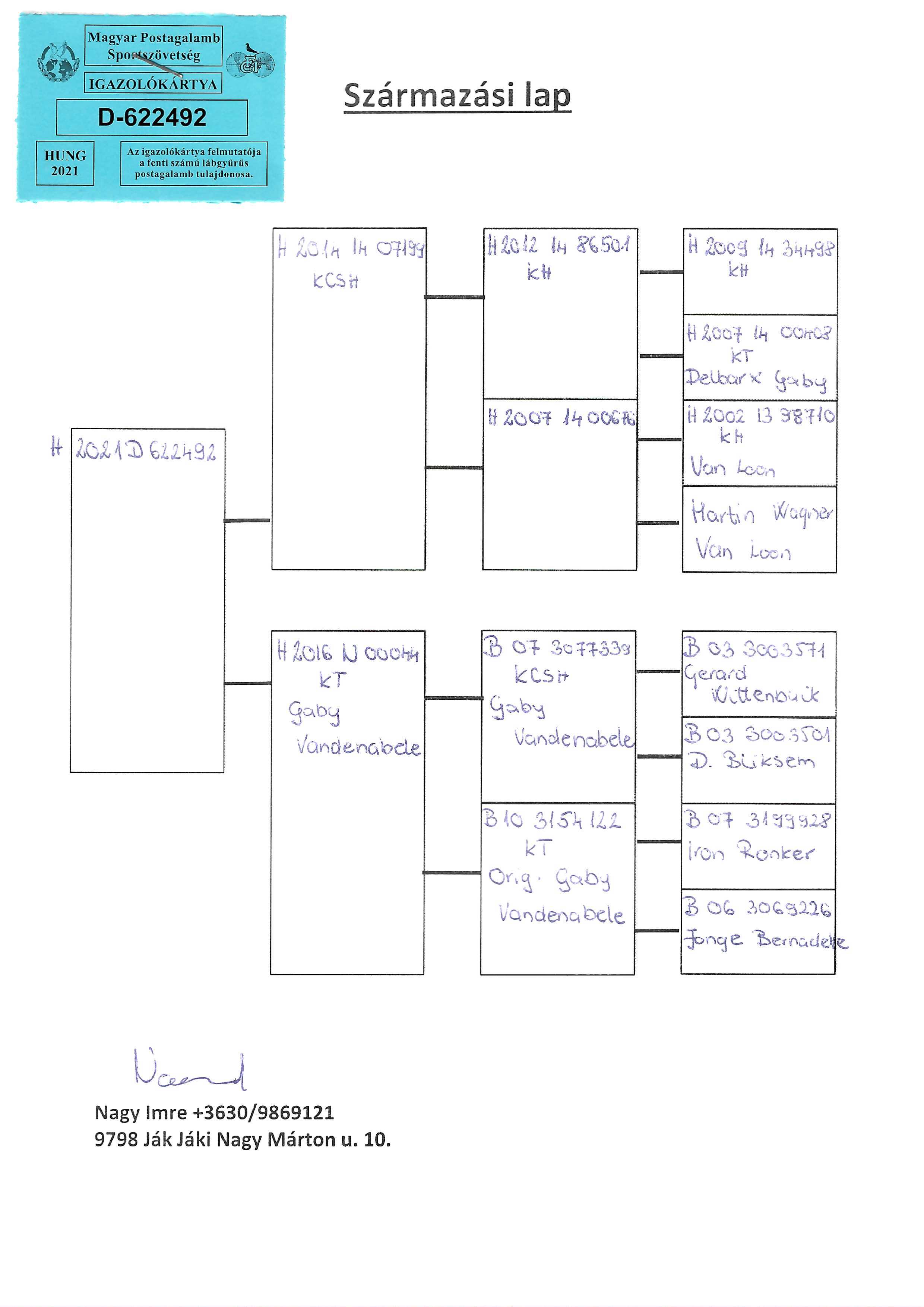 Pigeon pedigree image