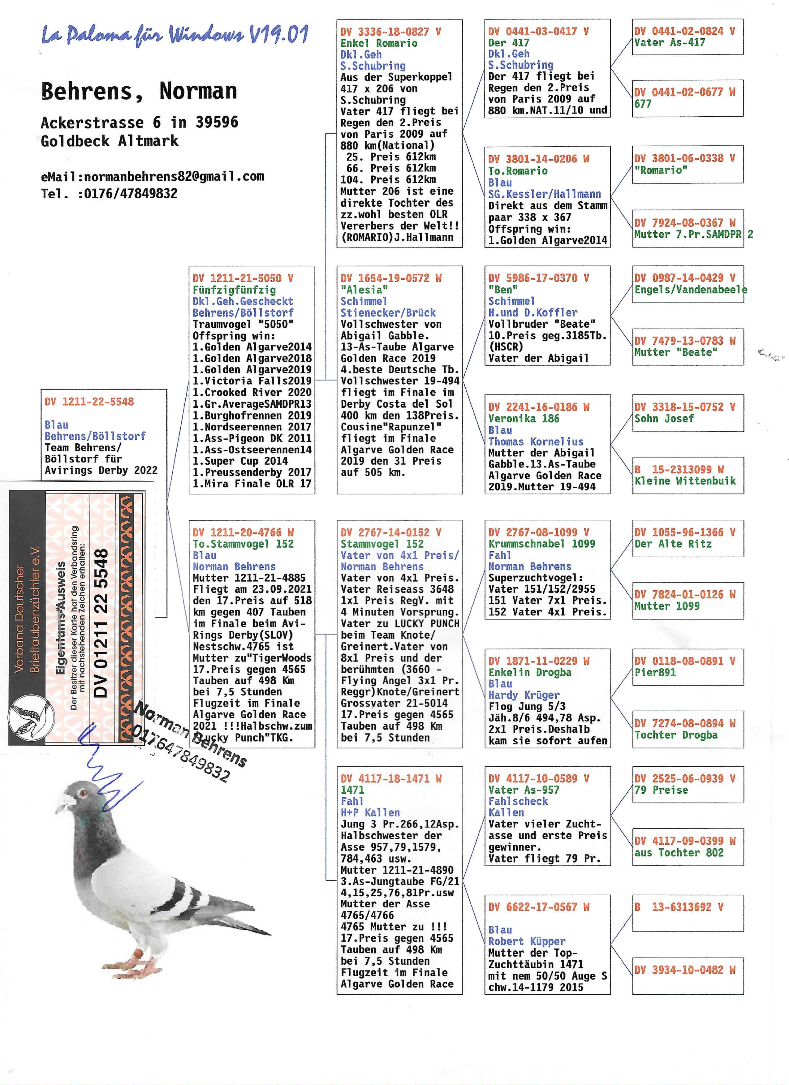 Pigeon pedigree image