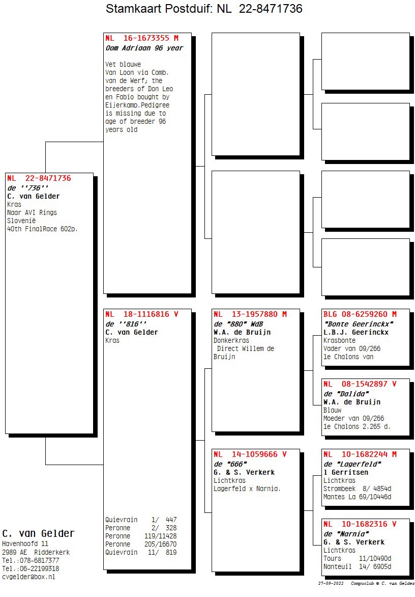 Pigeon pedigree image