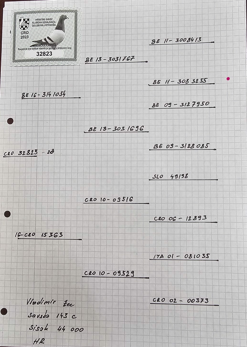 Pigeon pedigree image