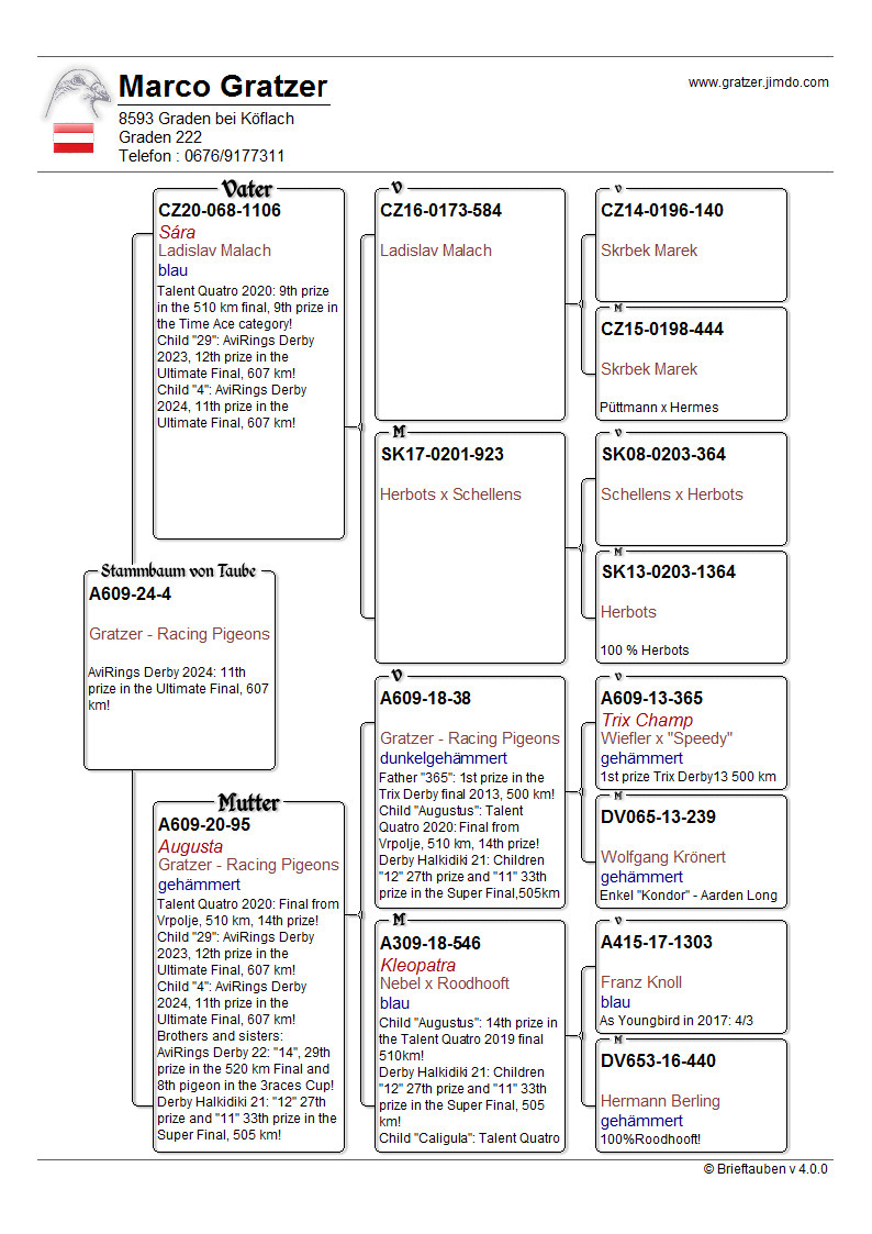Pigeon pedigree image