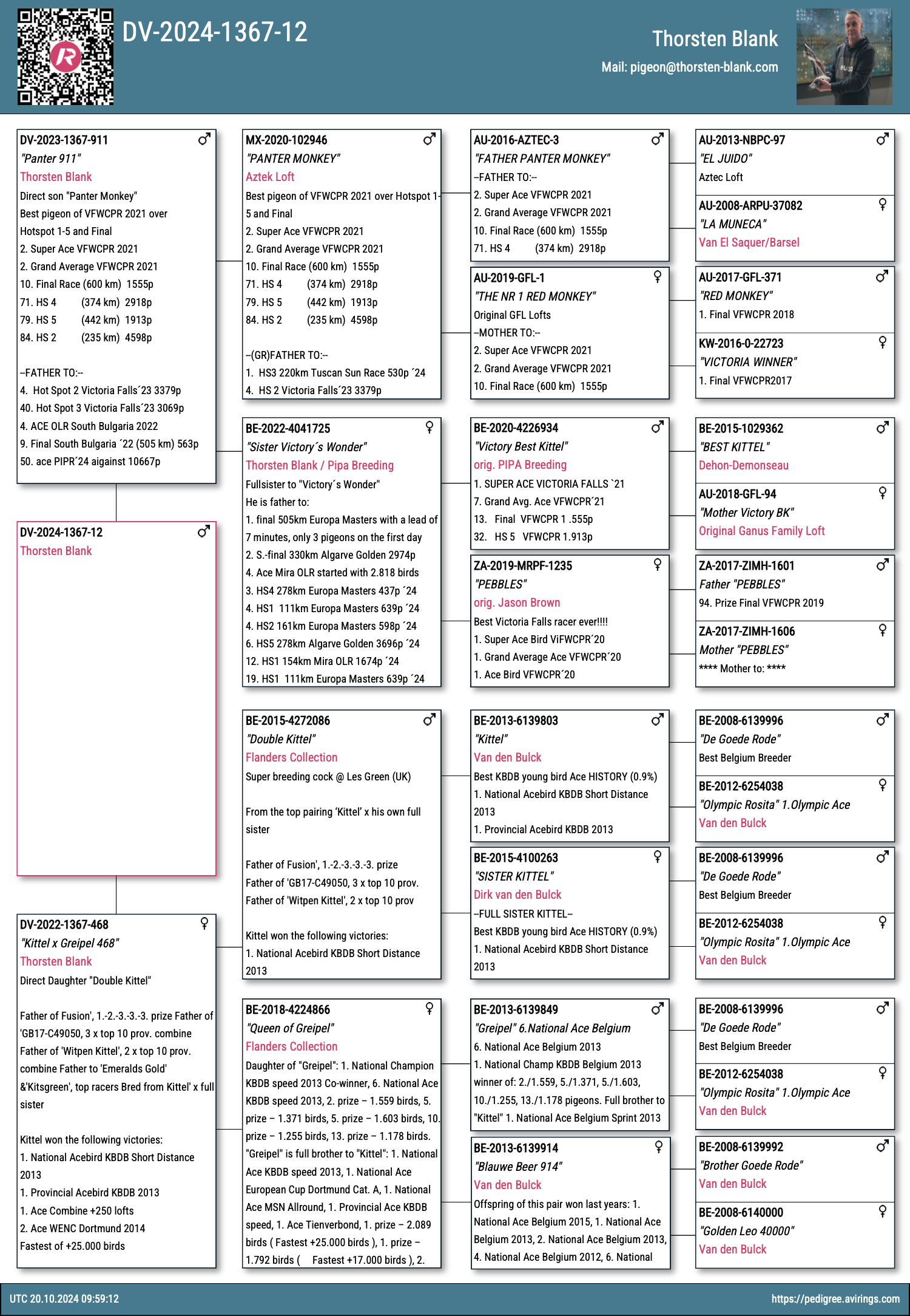 Pigeon pedigree image
