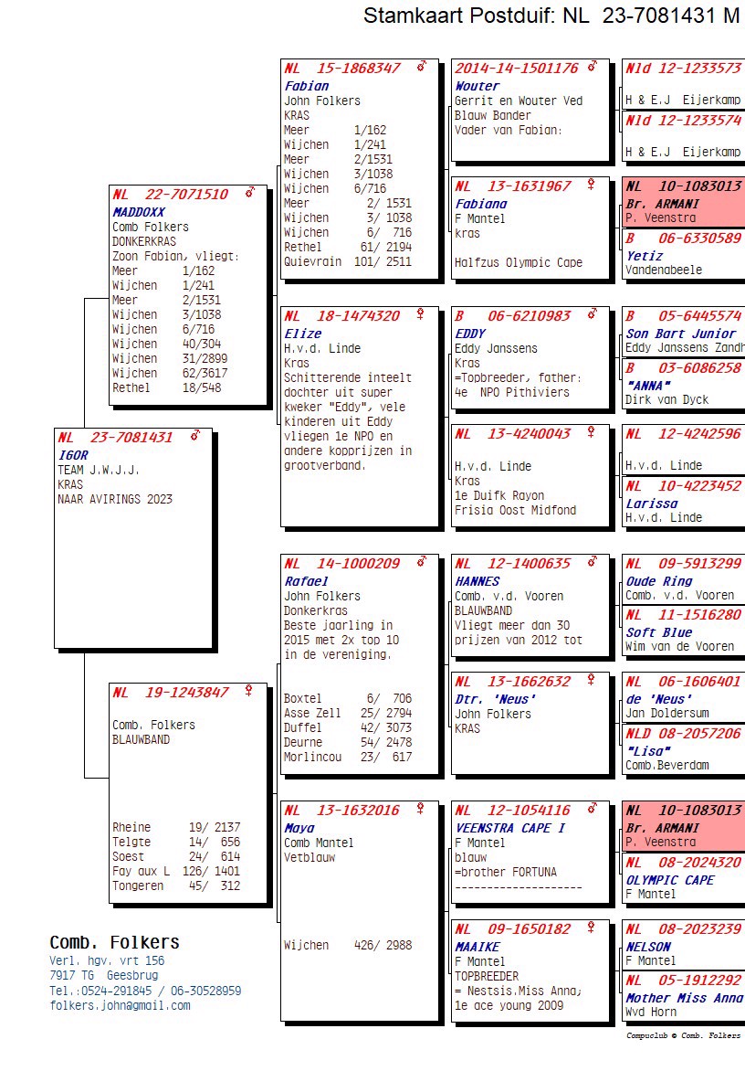 Pigeon pedigree image