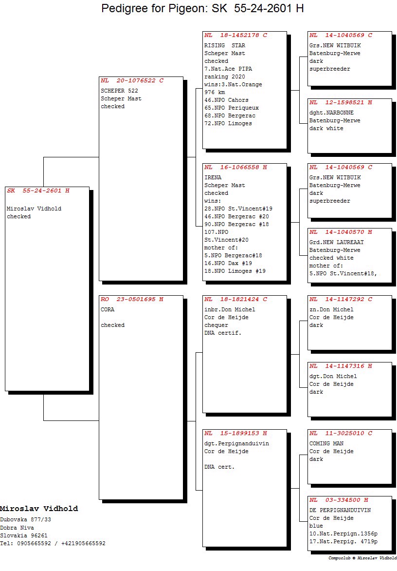Pigeon pedigree image