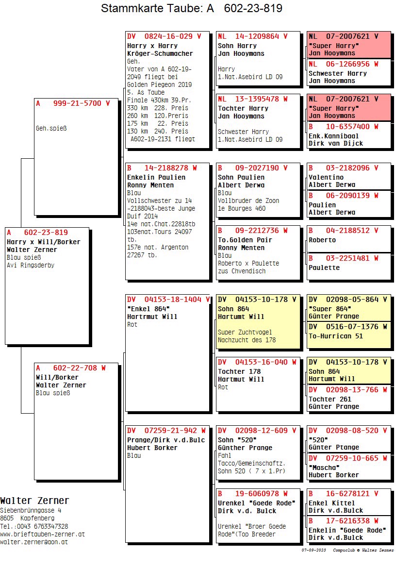 Pigeon pedigree image
