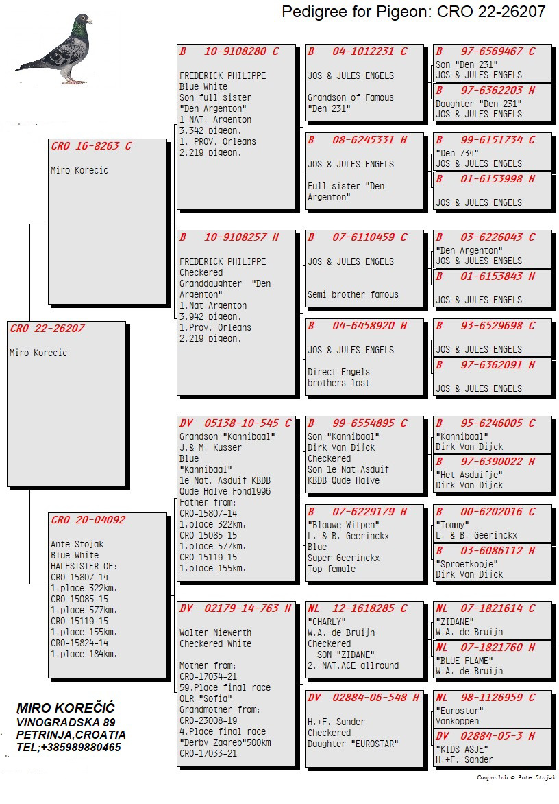 Pigeon pedigree image