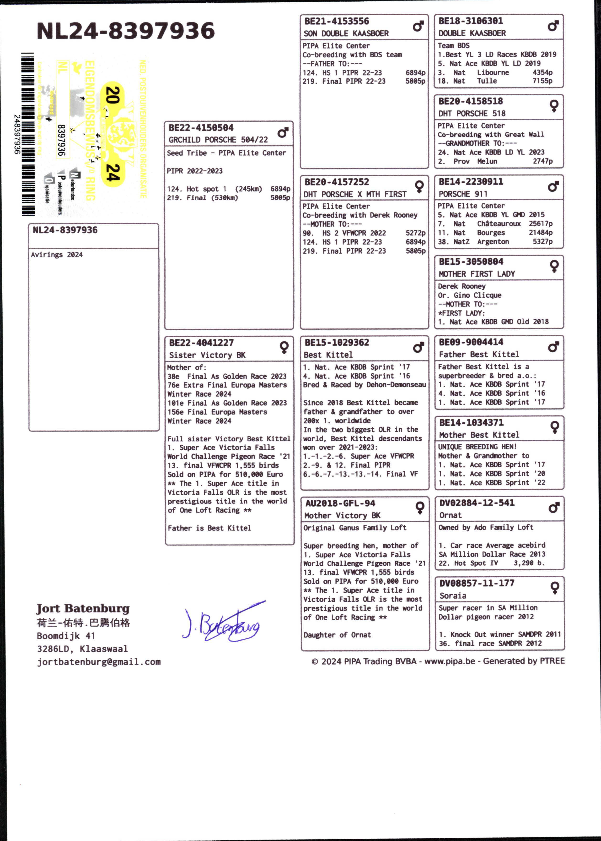 Pigeon pedigree image