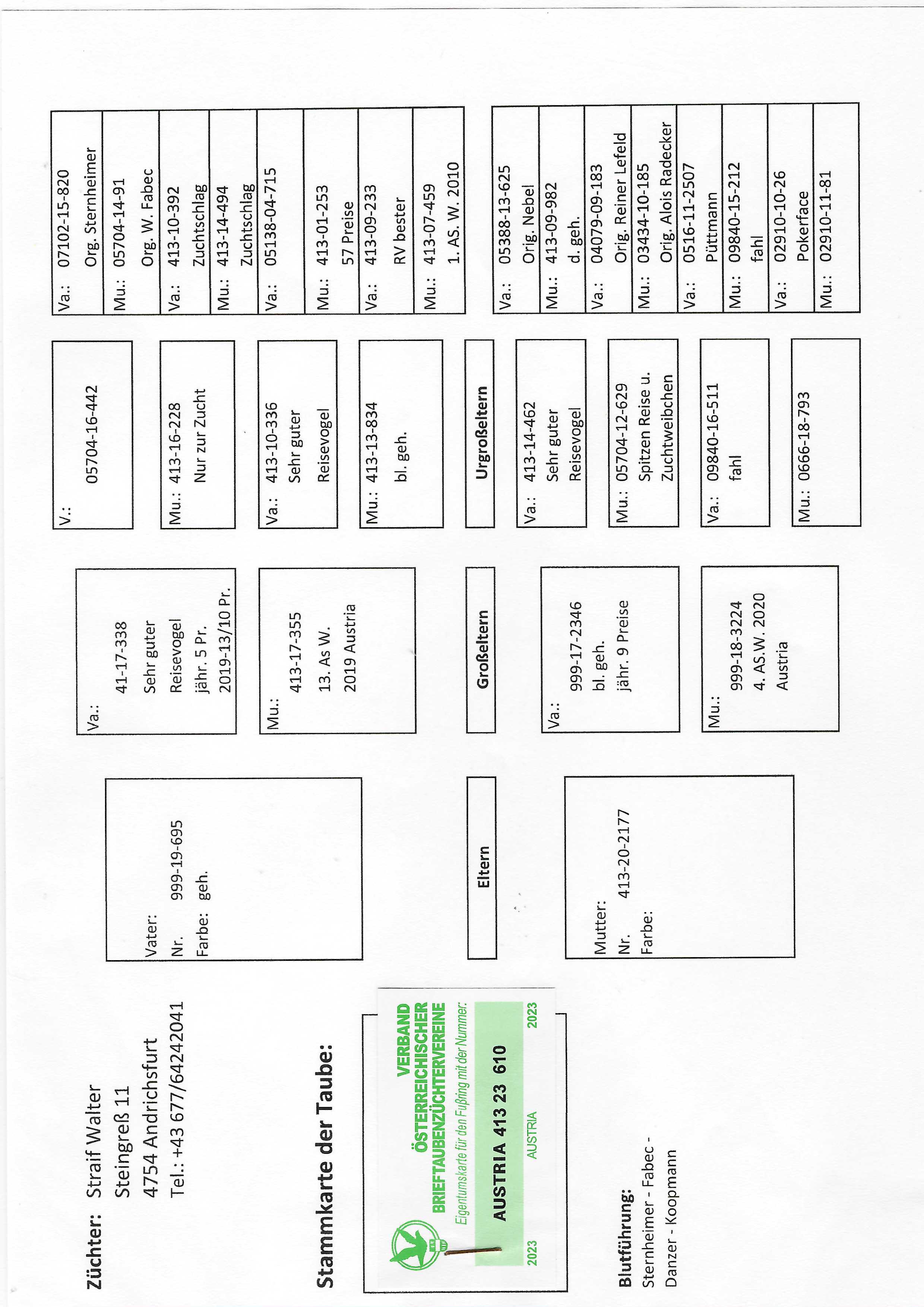 Pigeon pedigree image