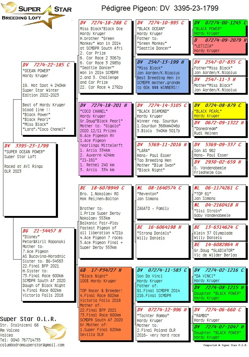 Pigeon pedigree image