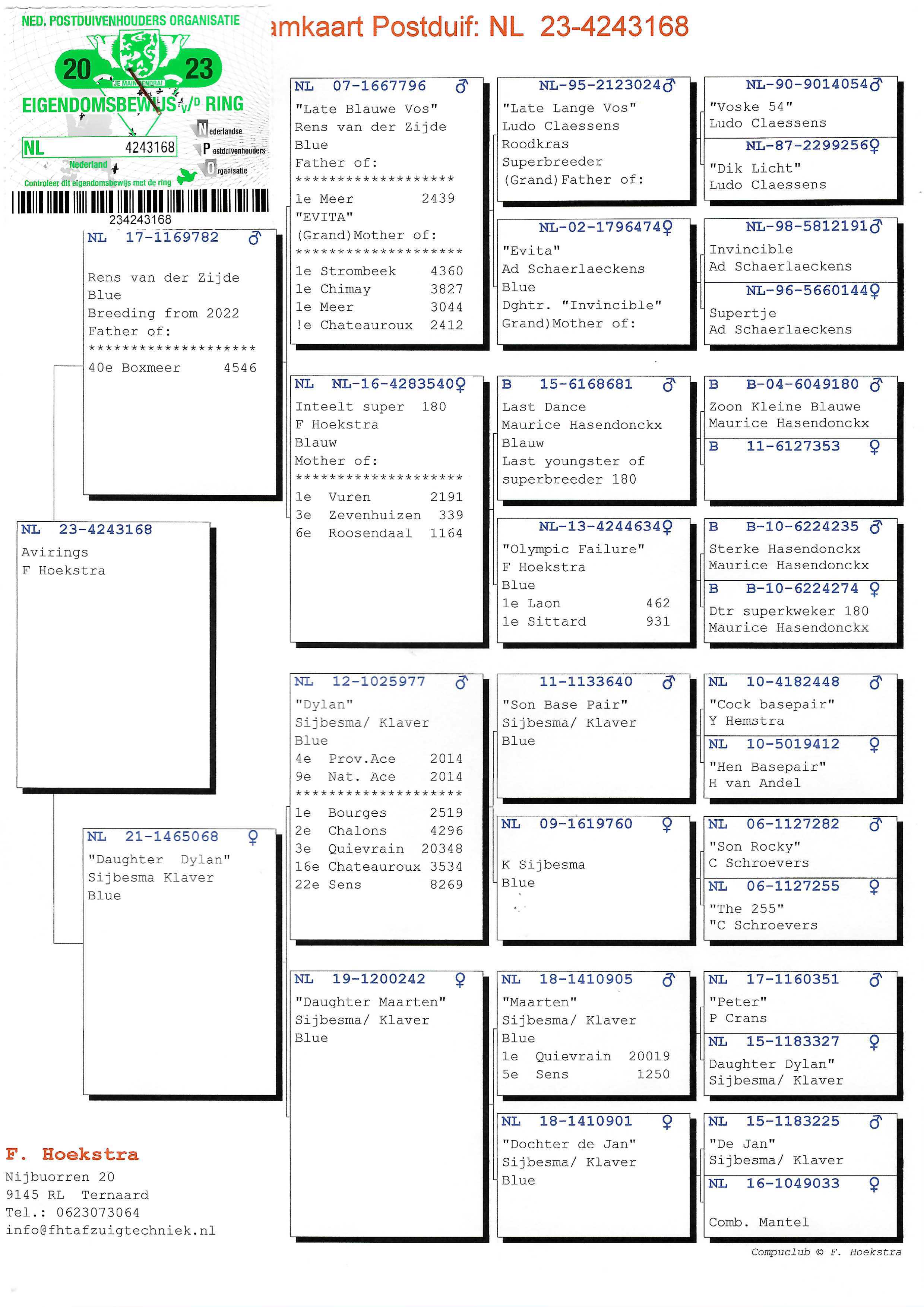 Pigeon pedigree image