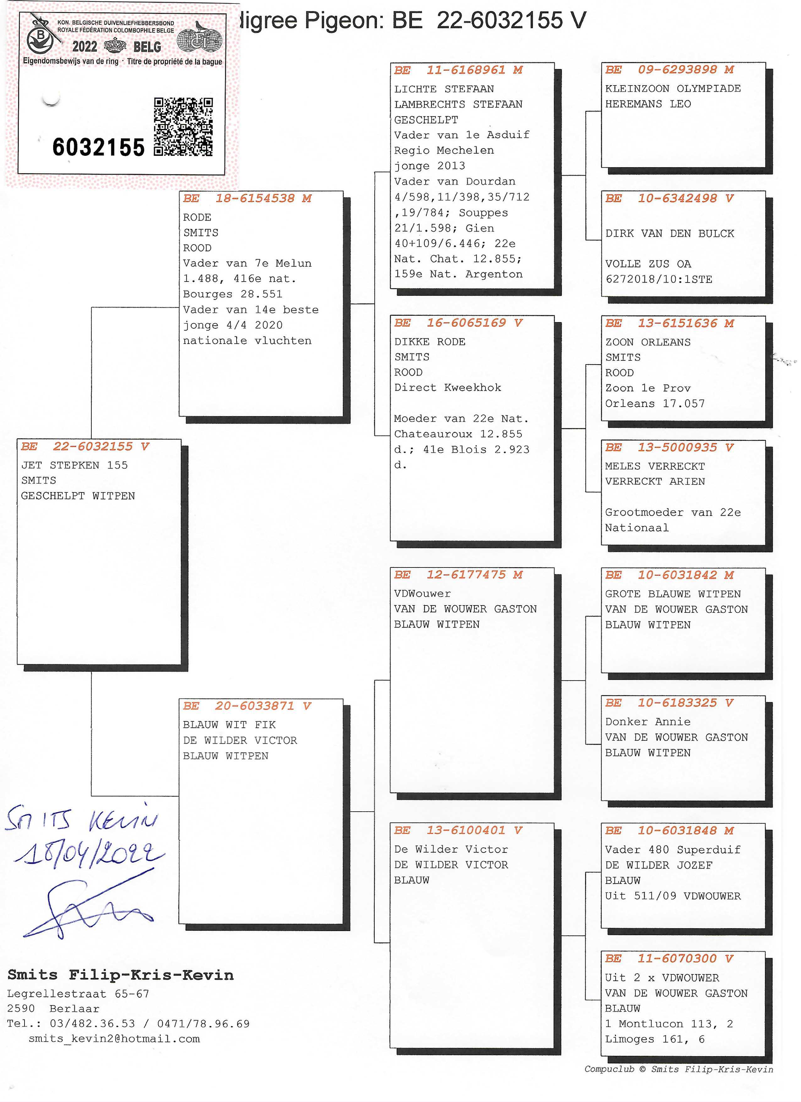 Pigeon pedigree image