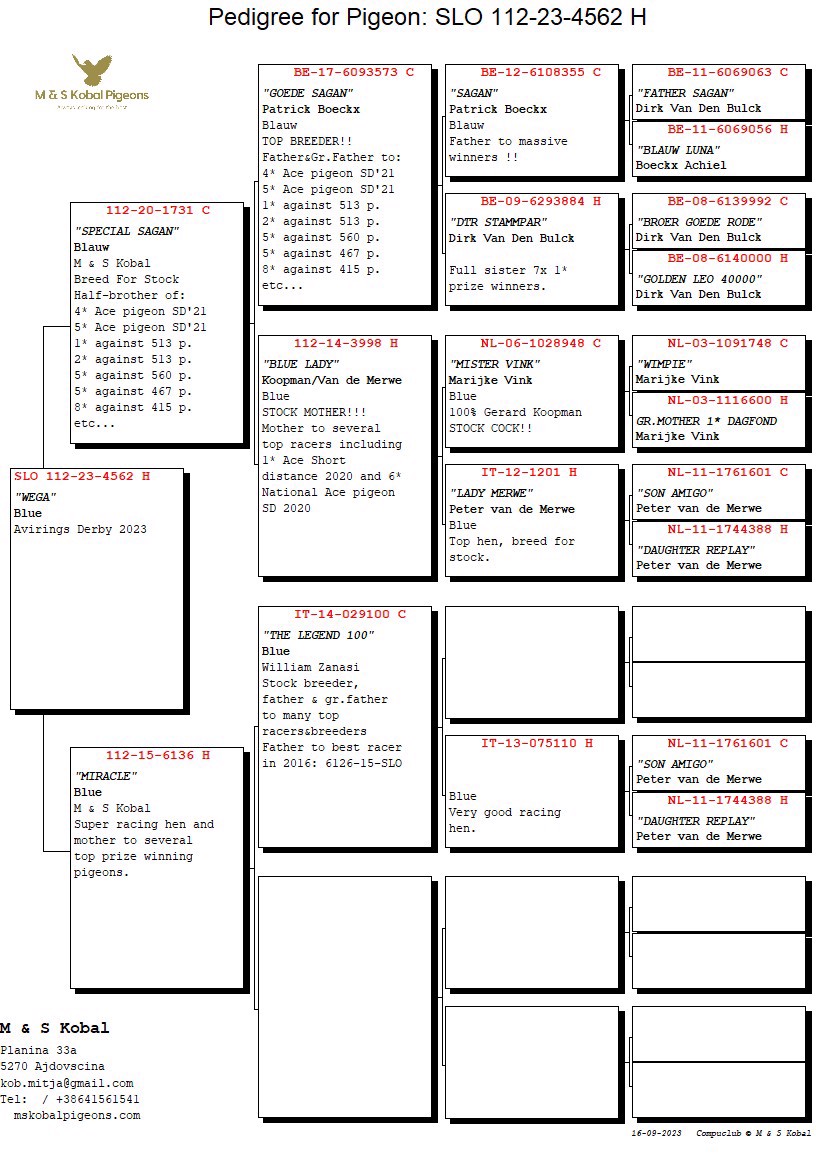 Pigeon pedigree image