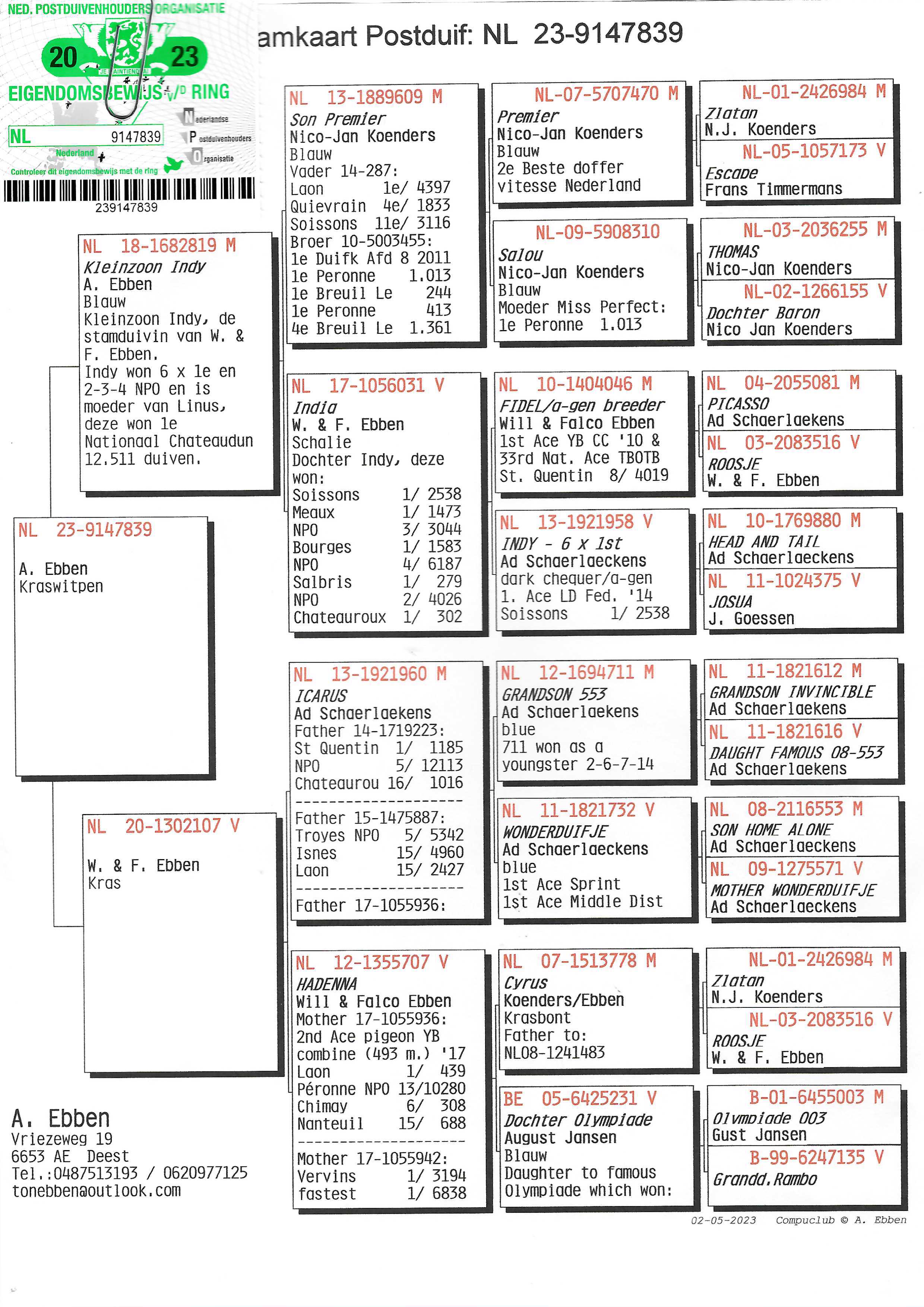 Pigeon pedigree image