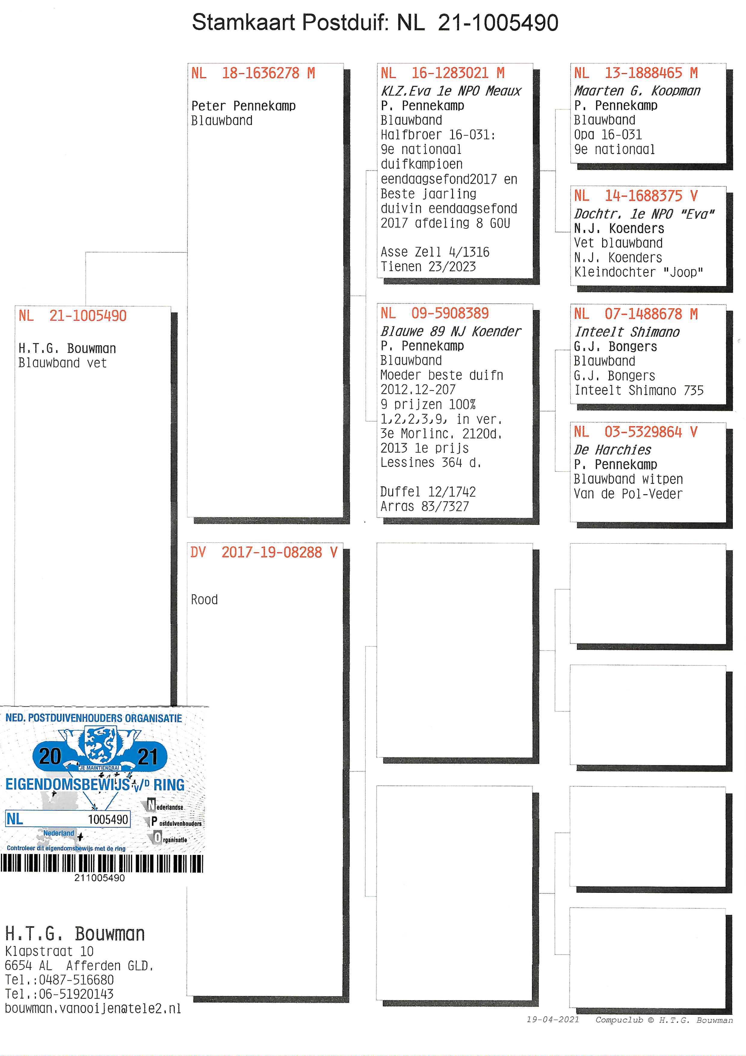 Pigeon pedigree image
