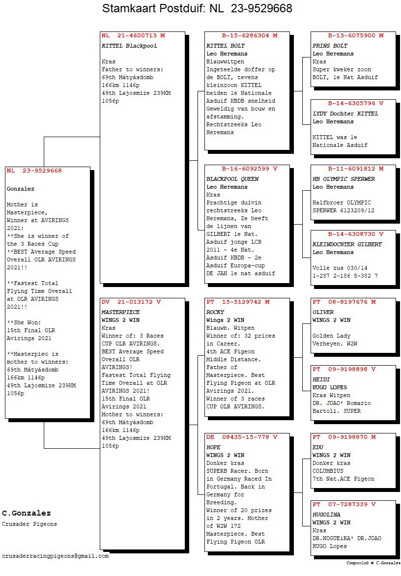 Pigeon pedigree image