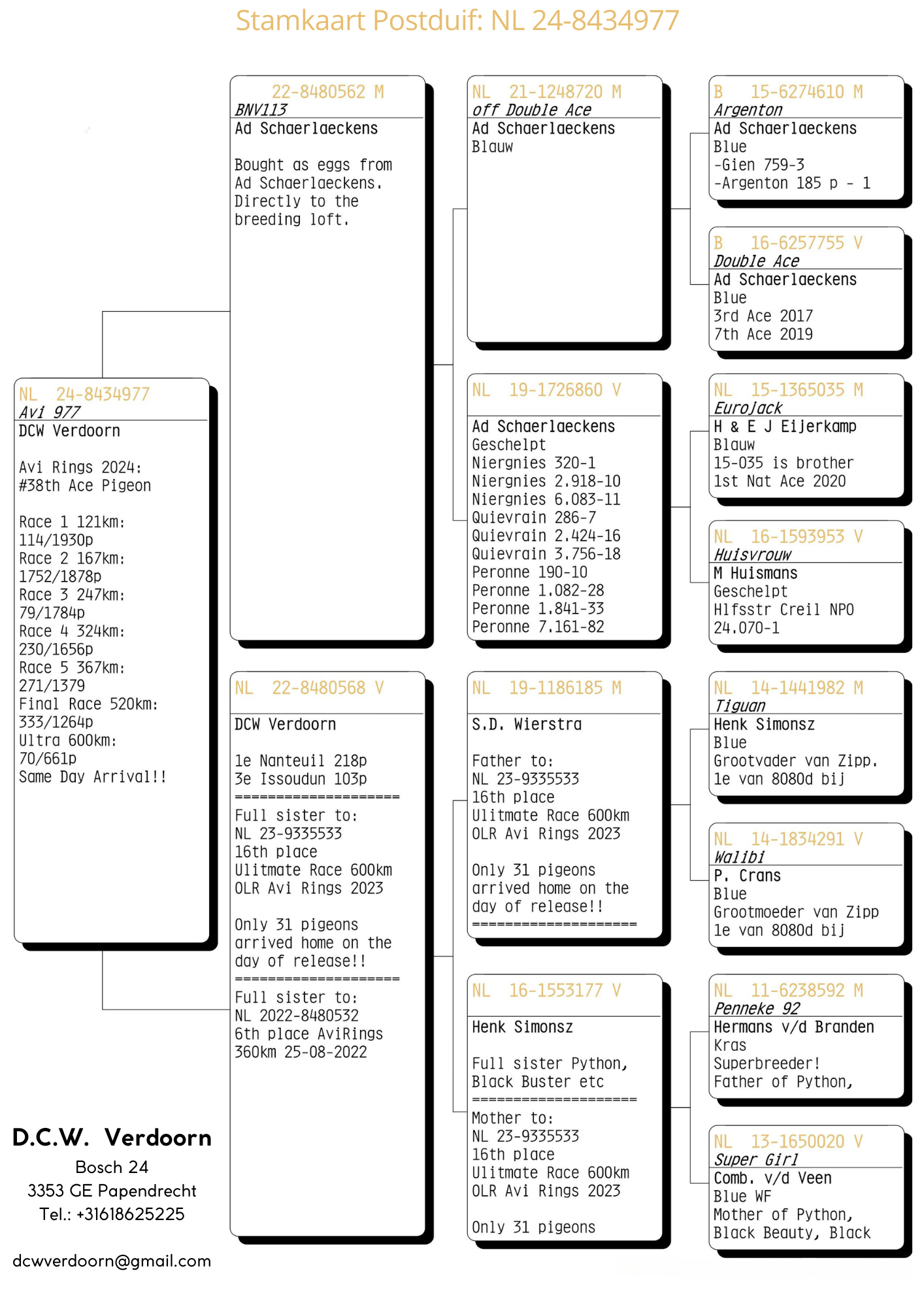 Pigeon pedigree image