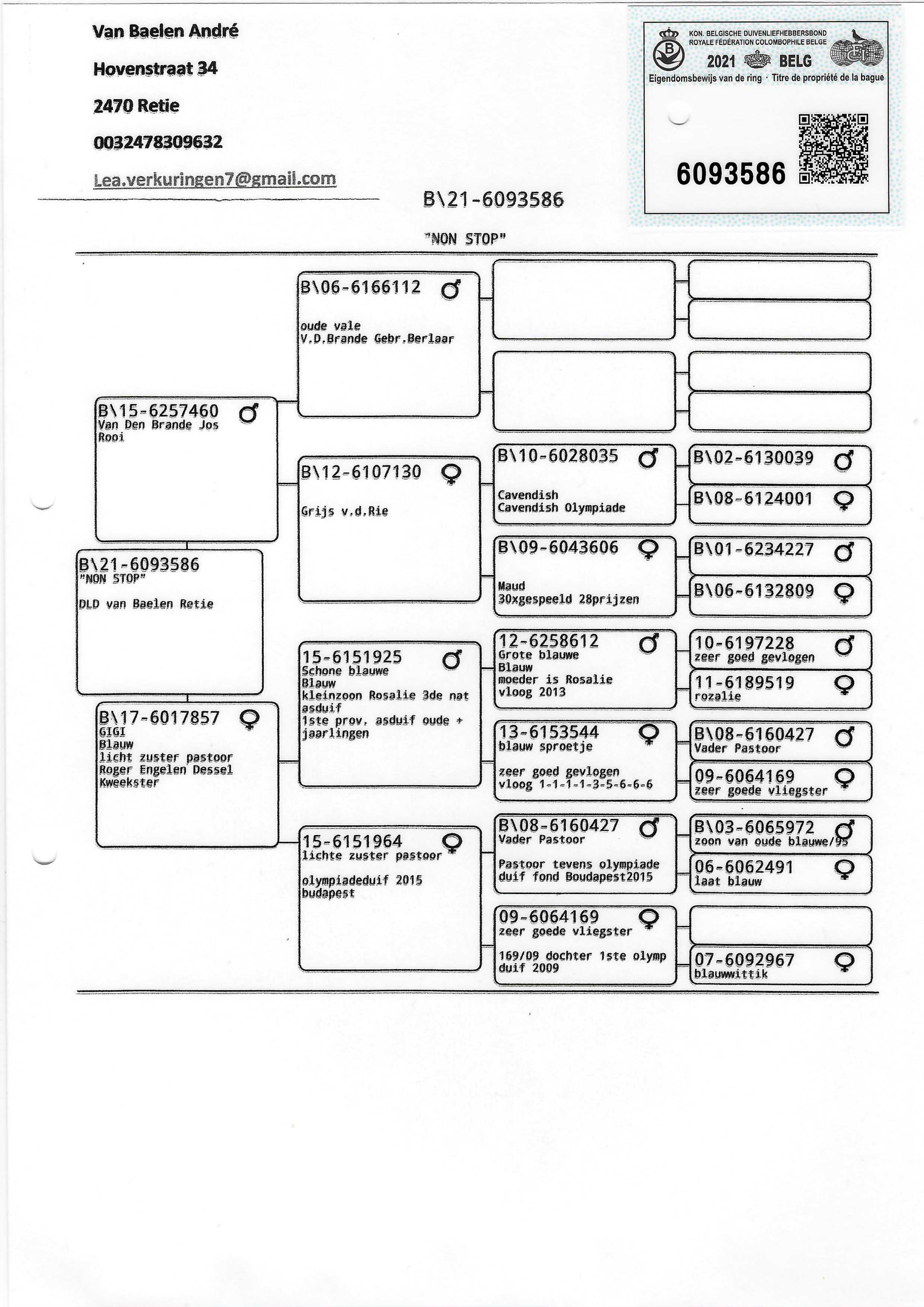 Pigeon pedigree image