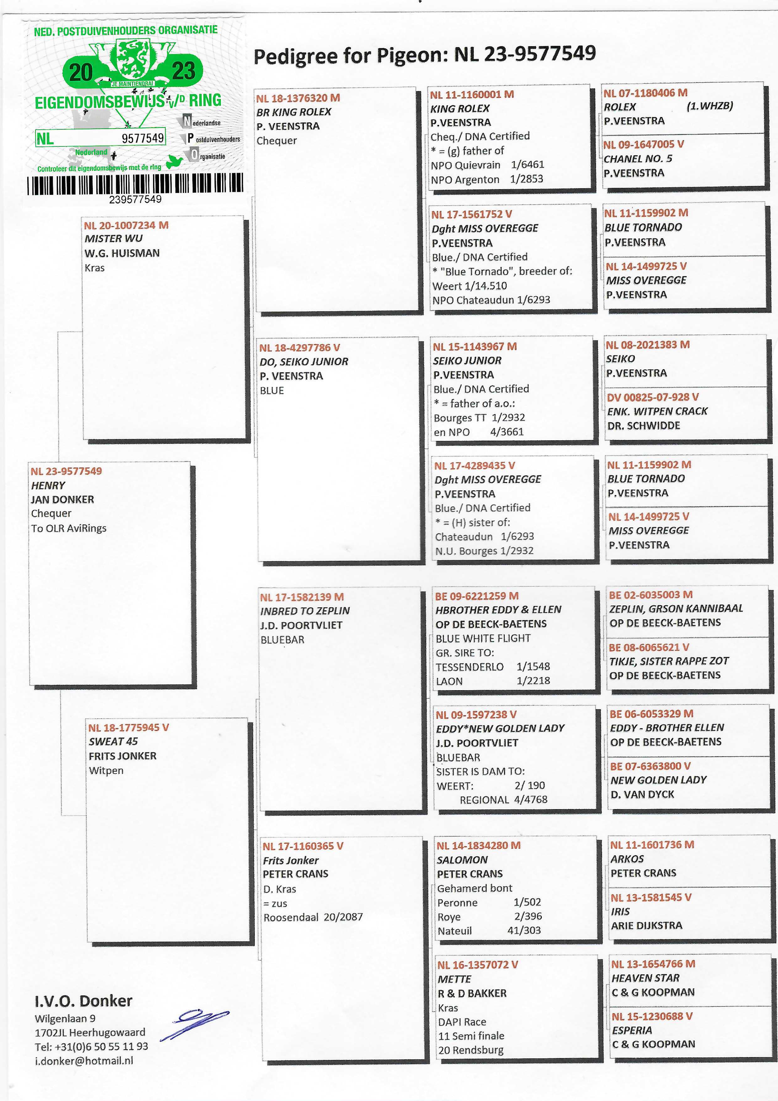 Pigeon pedigree image