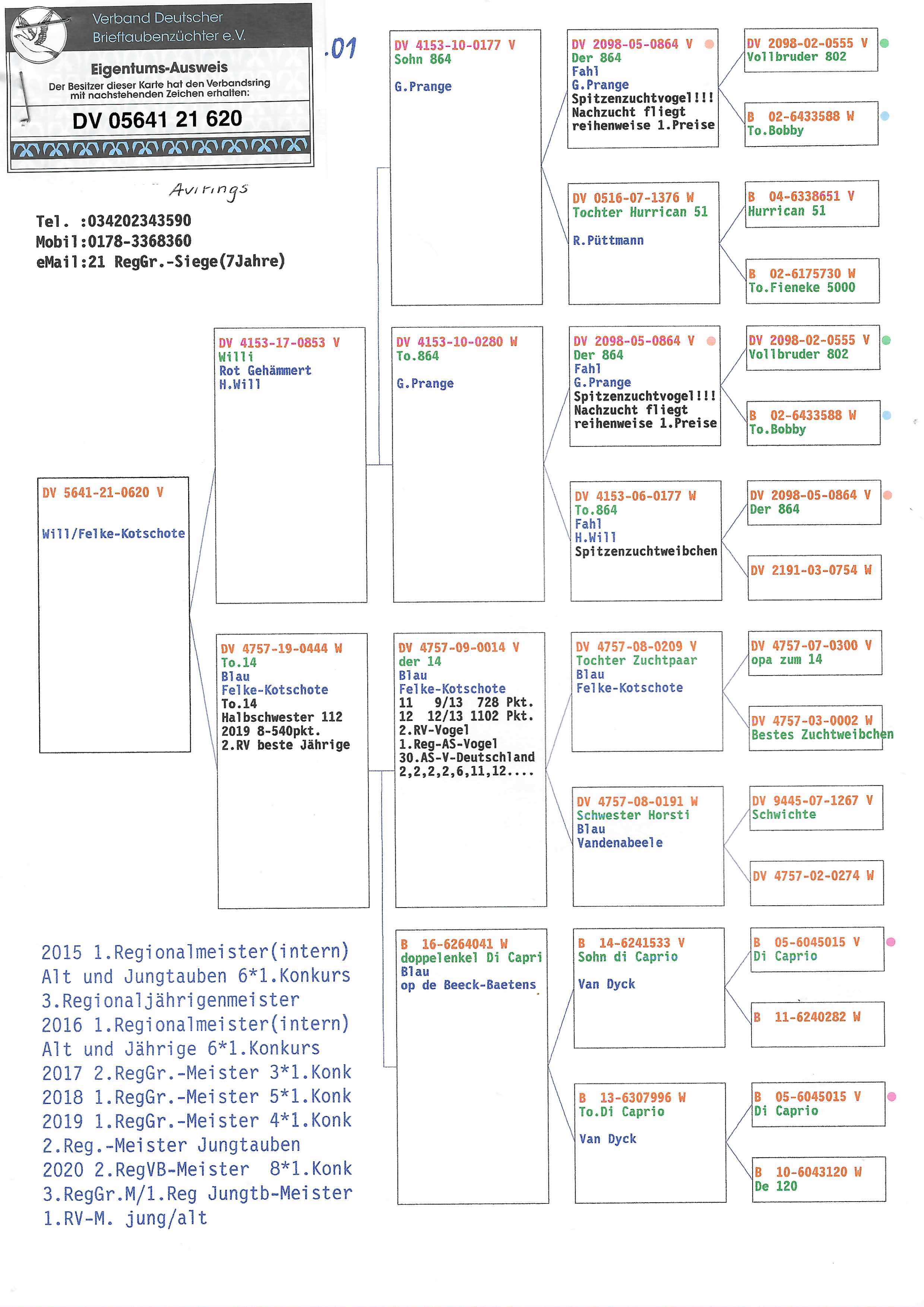 Pigeon pedigree image