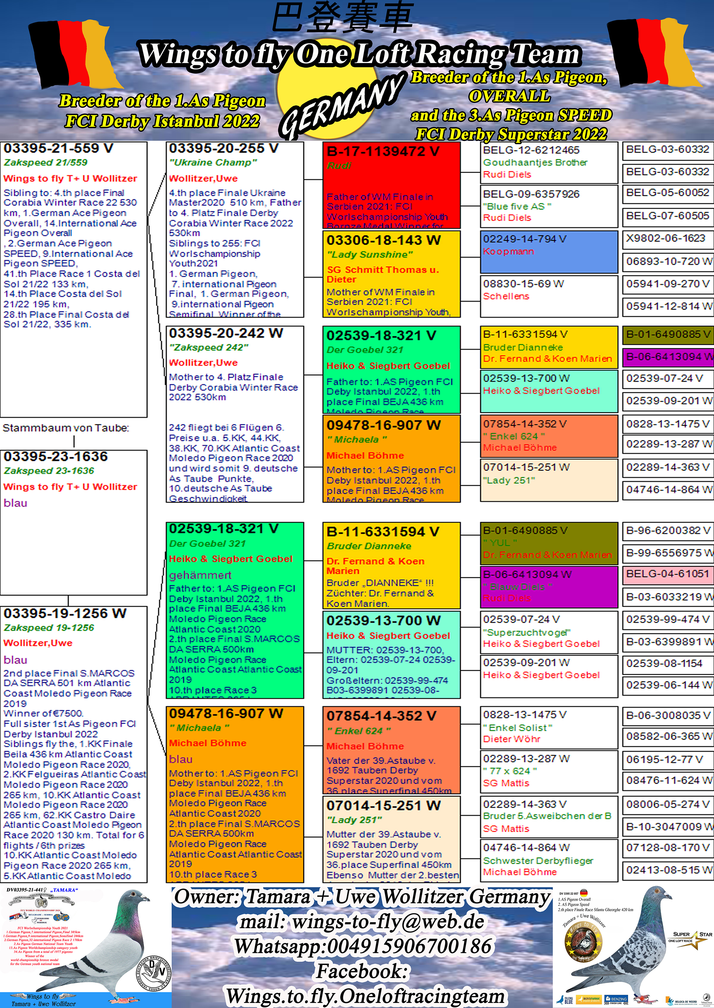 Pigeon pedigree image