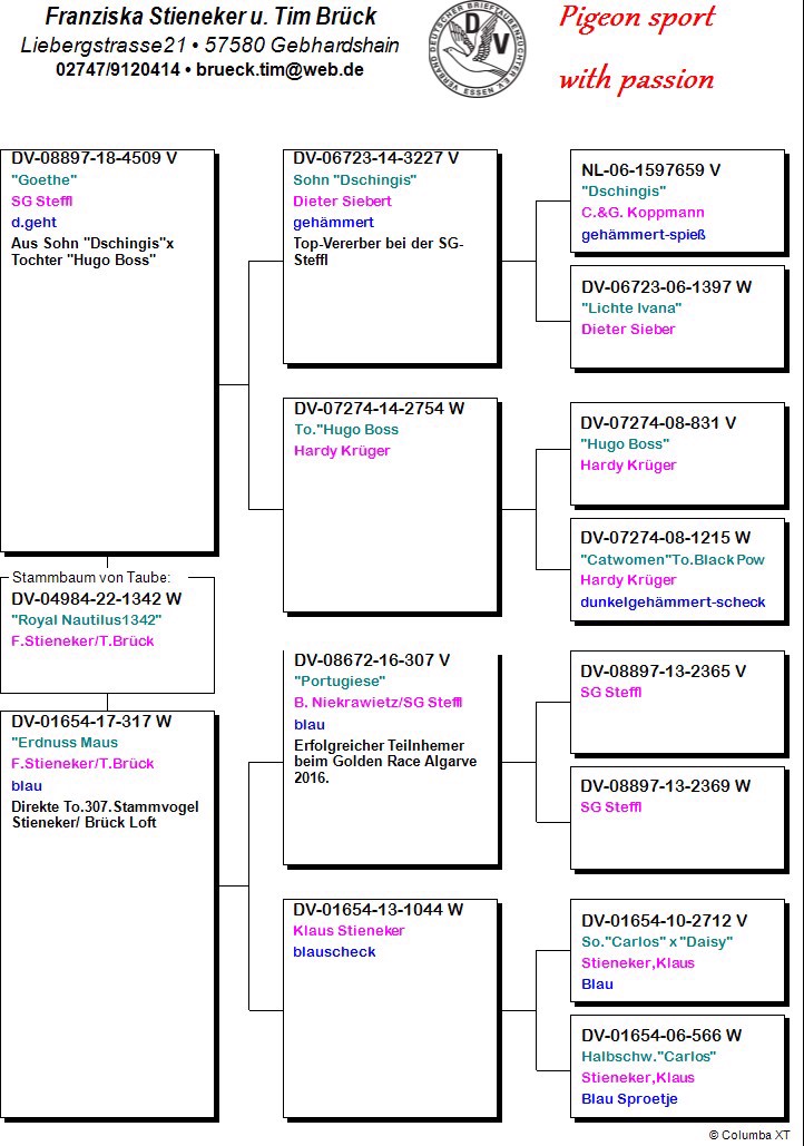 Pigeon pedigree image
