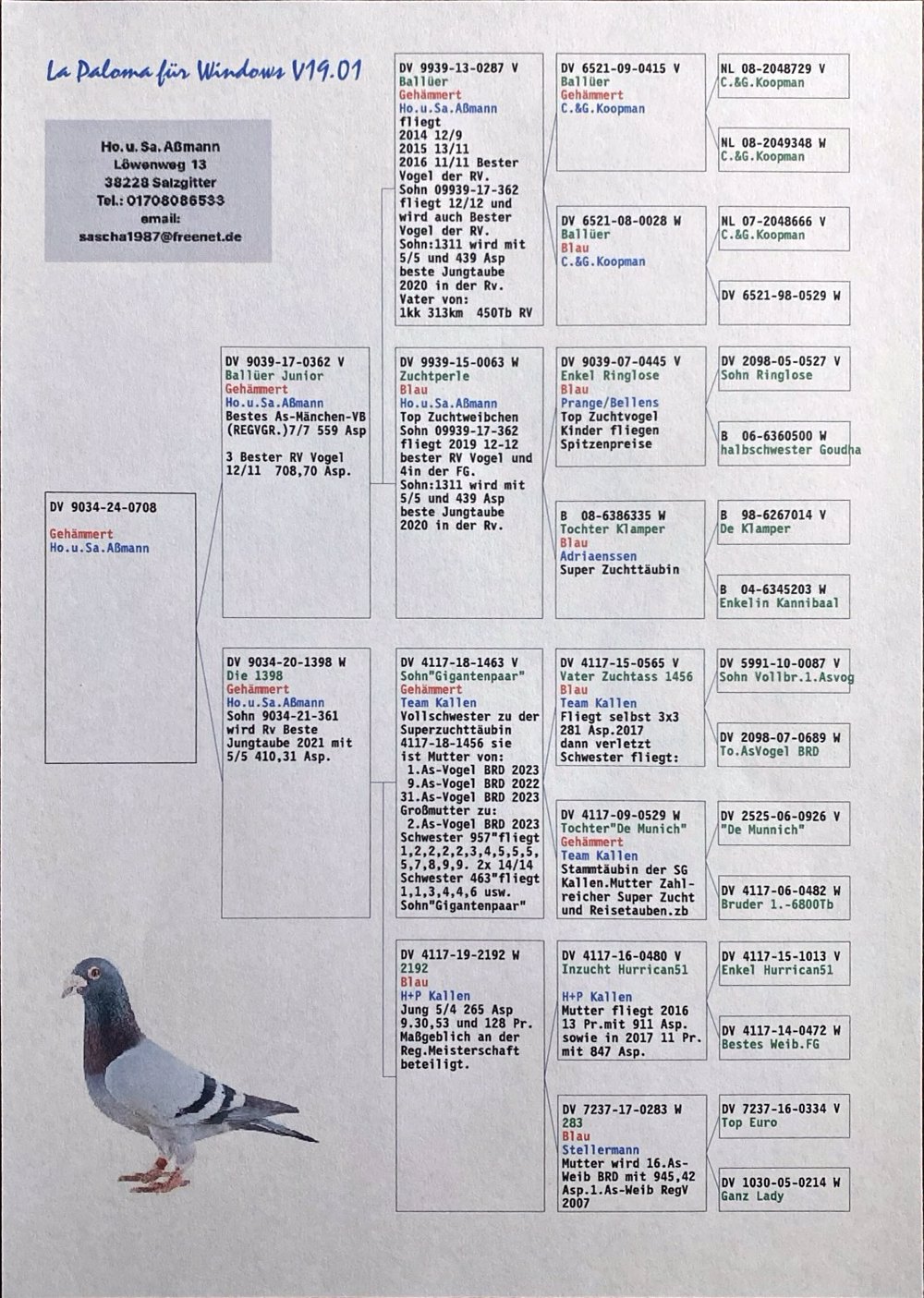 Abstammung Avirings 2024_sascha_Page_2.jpg