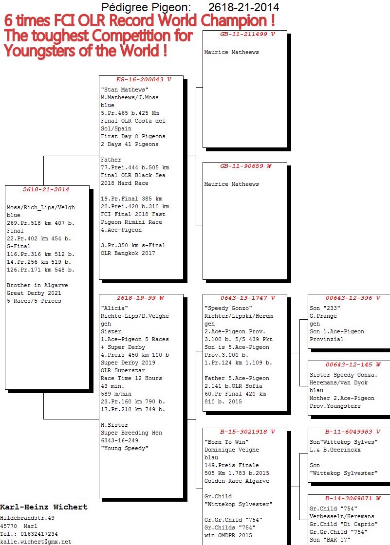 Pigeon pedigree image