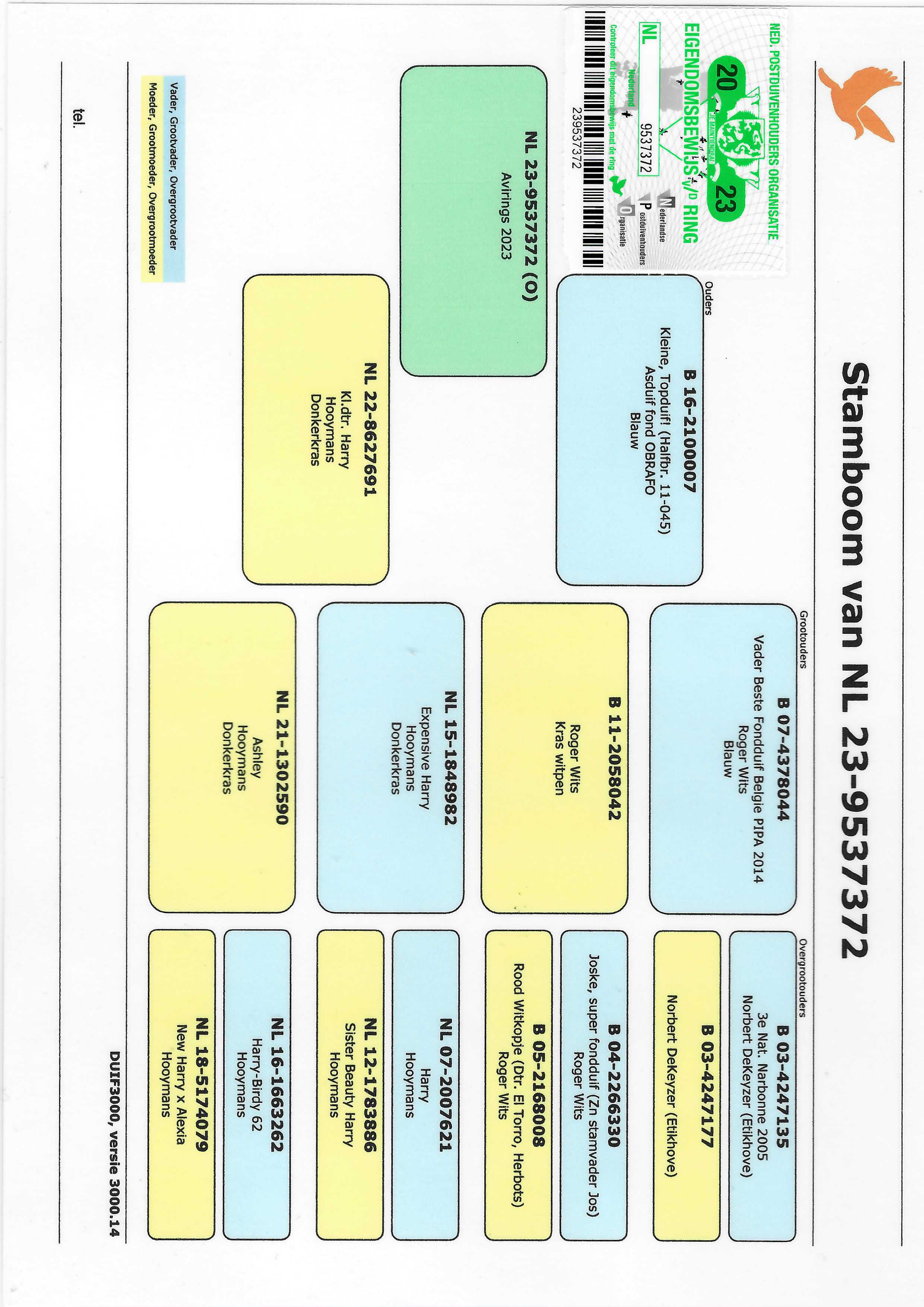 Pigeon pedigree image