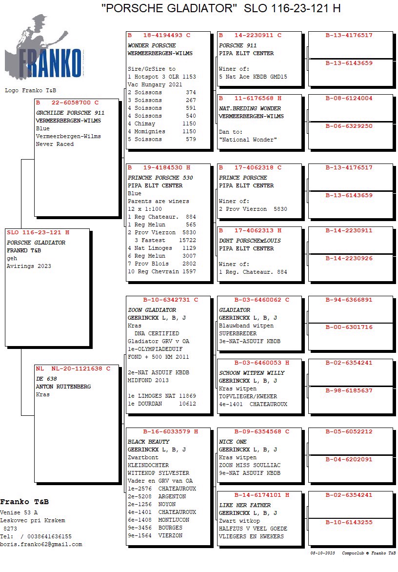 Pigeon pedigree image