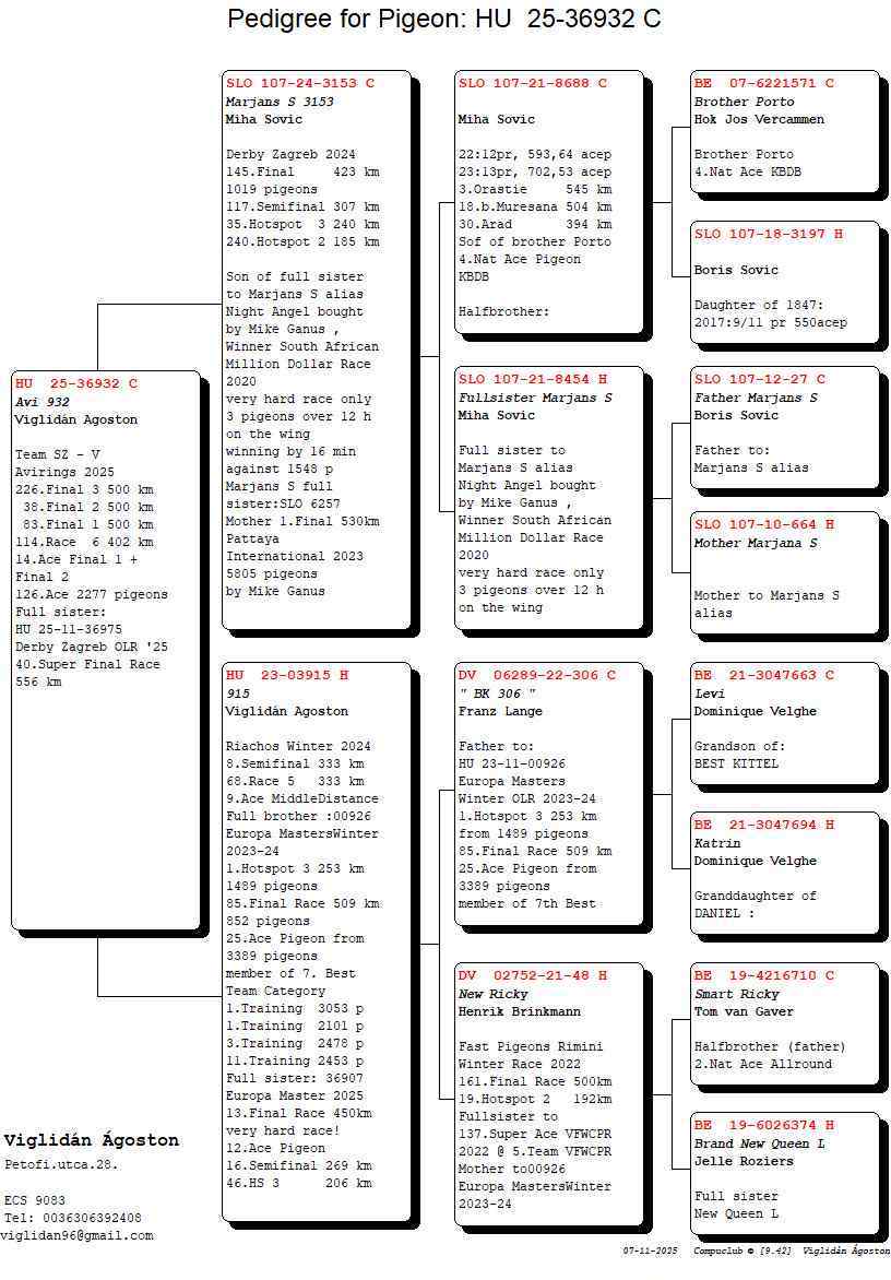 Pigeon pedigree image