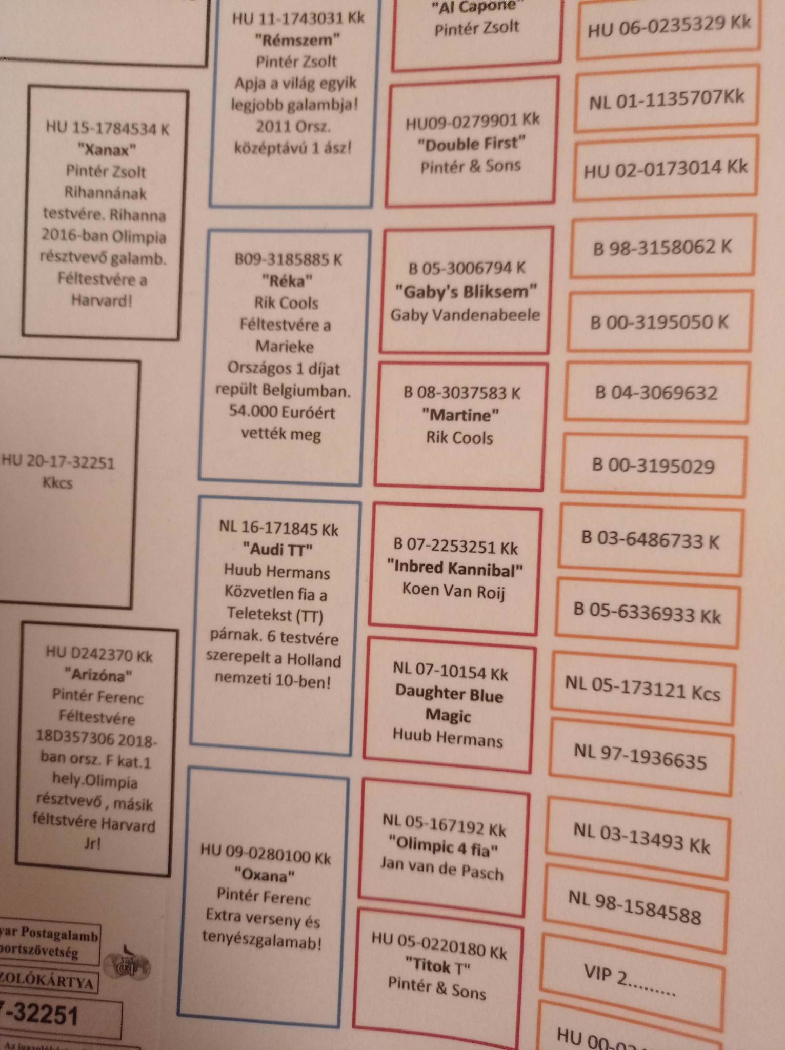 Pigeon pedigree image