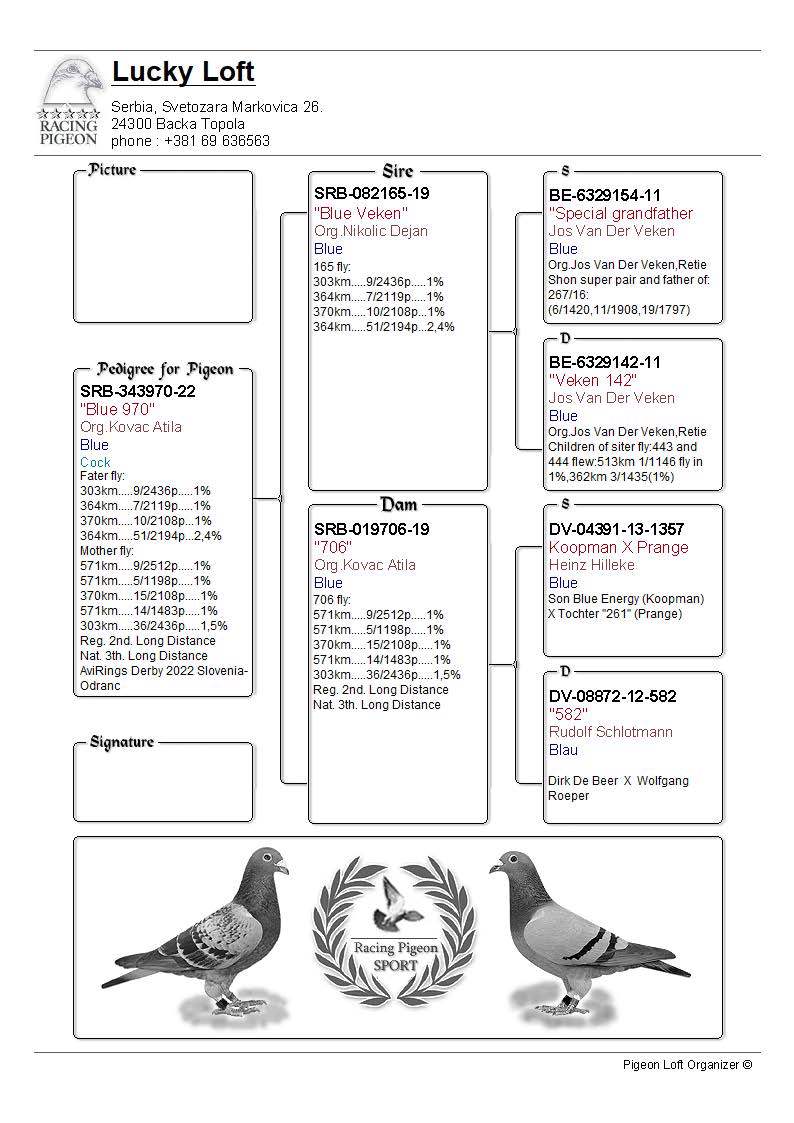 Pigeon pedigree image
