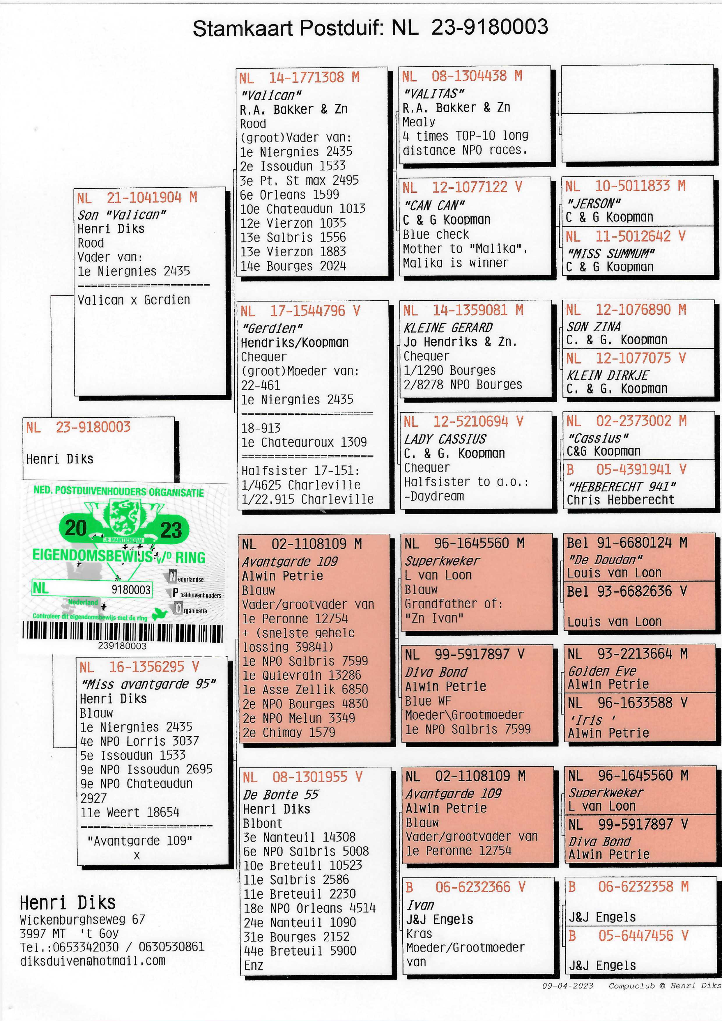 Pigeon pedigree image