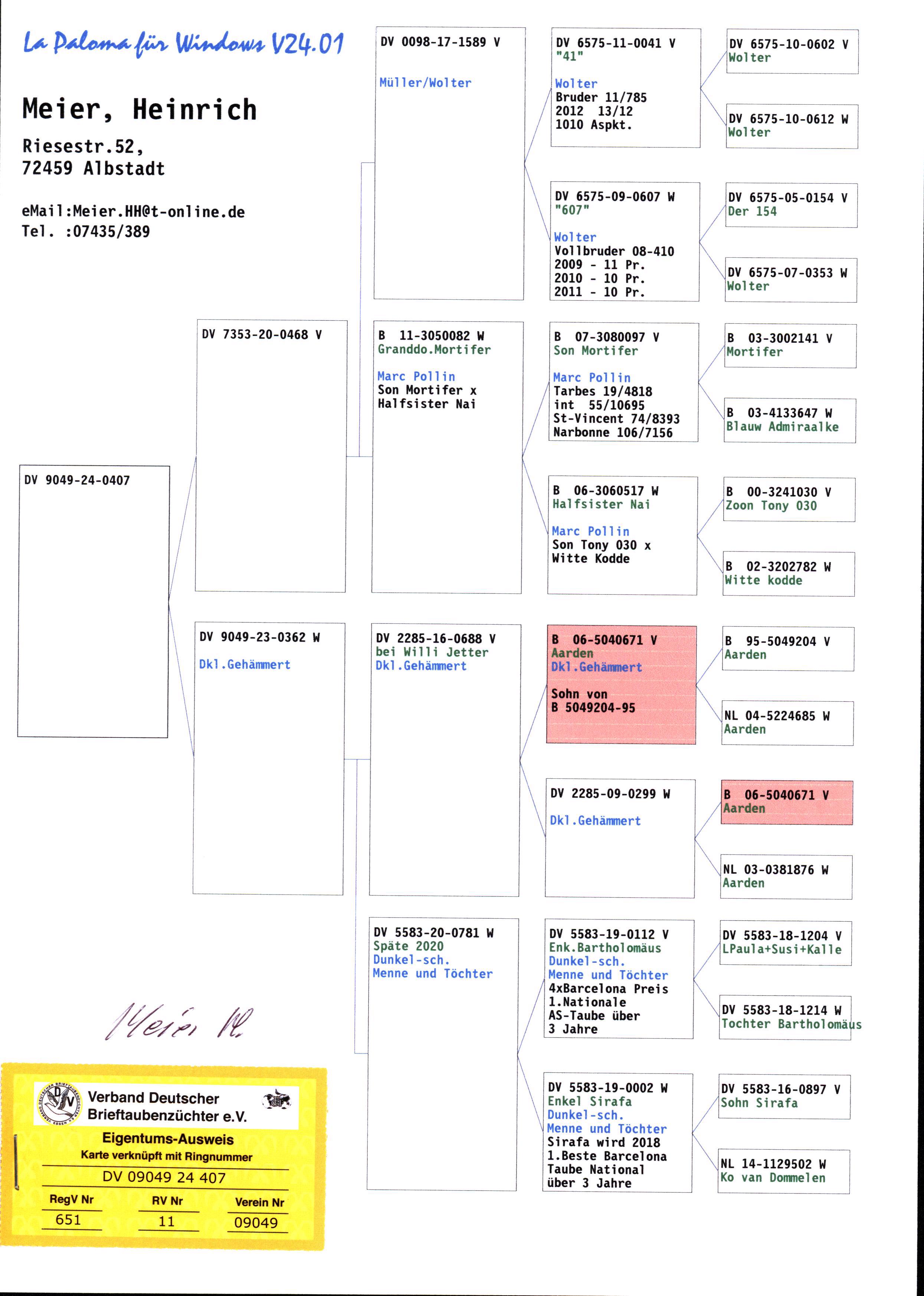 Pigeon pedigree image