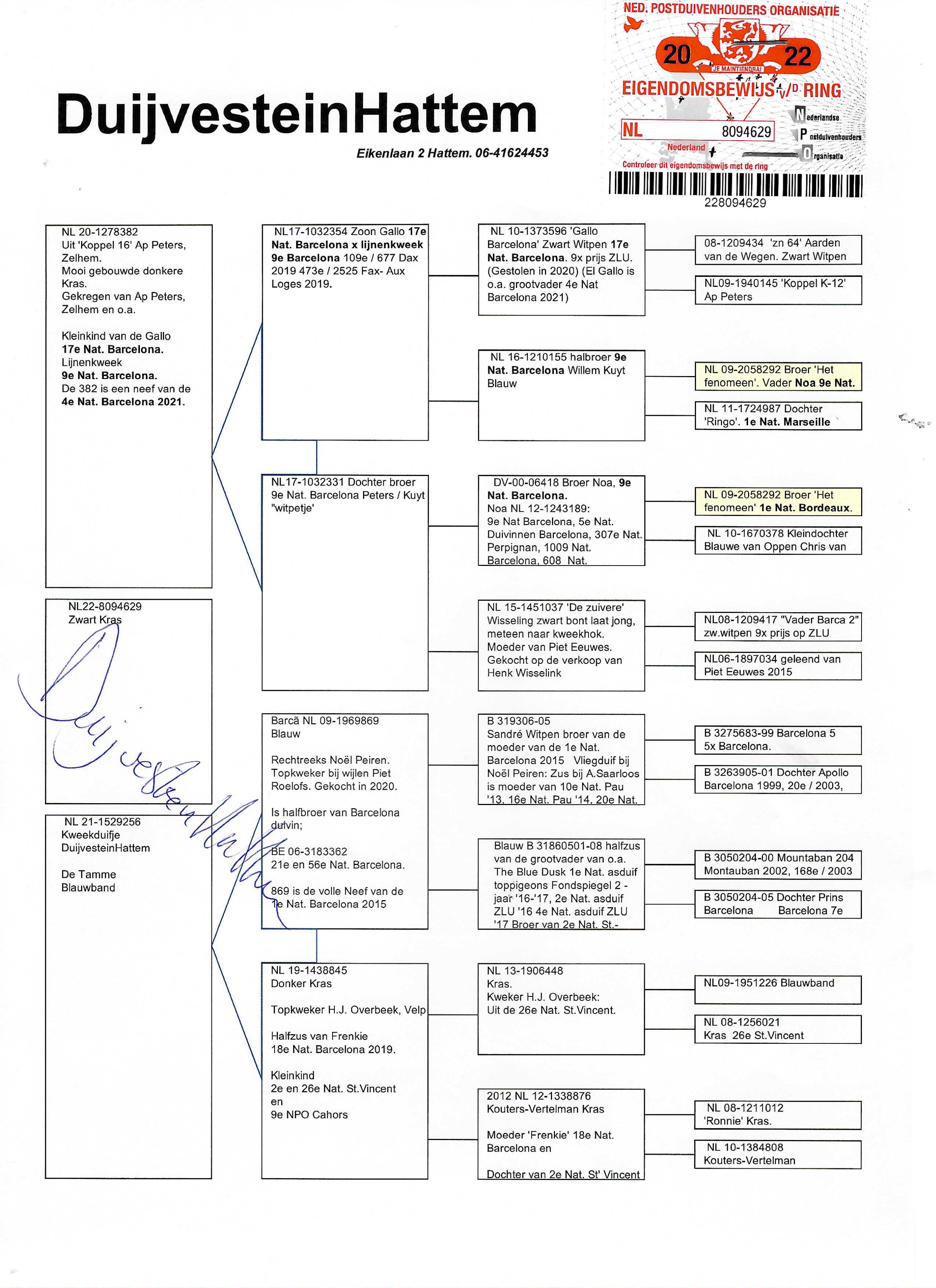 Pigeon pedigree image
