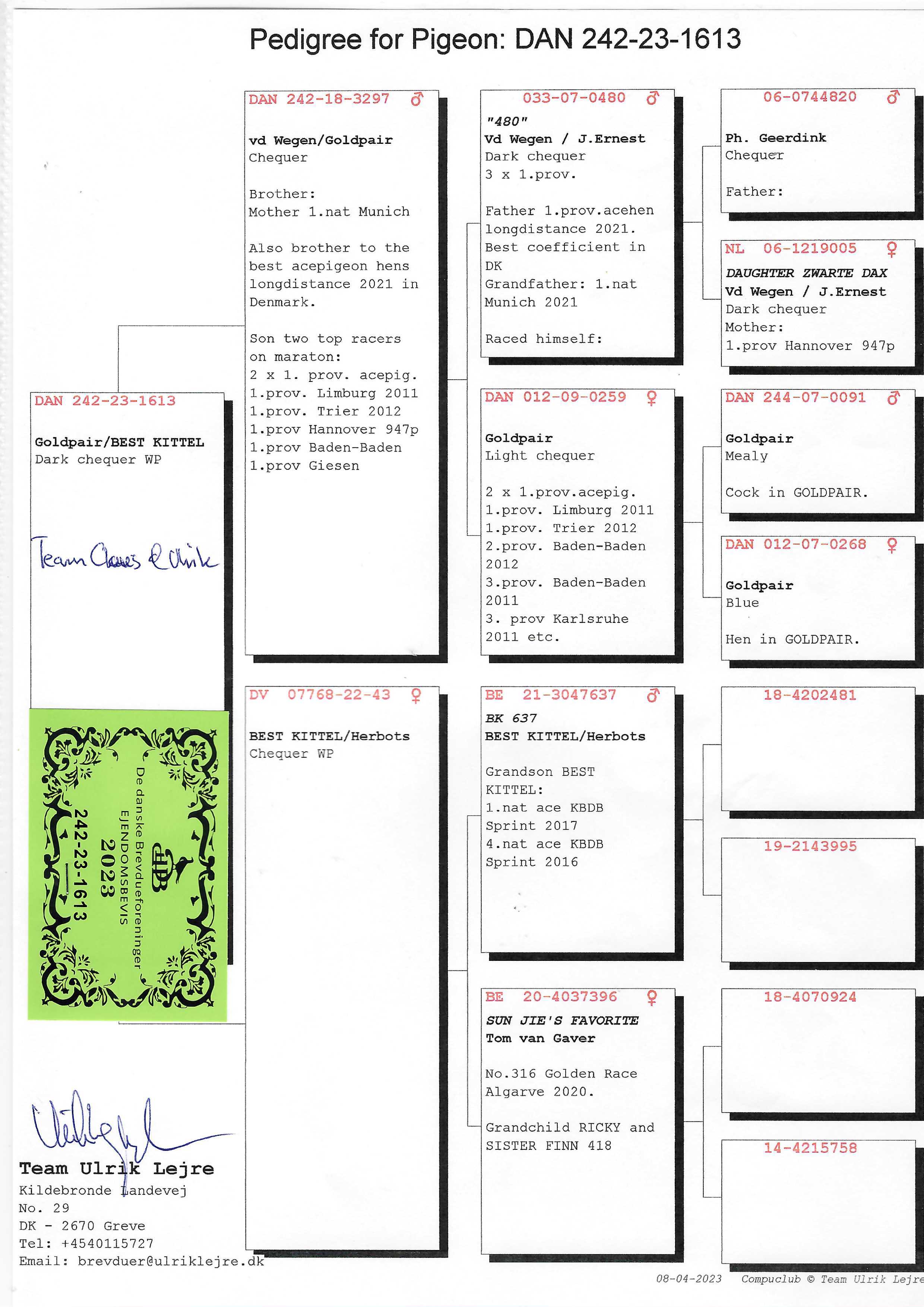 Pigeon pedigree image