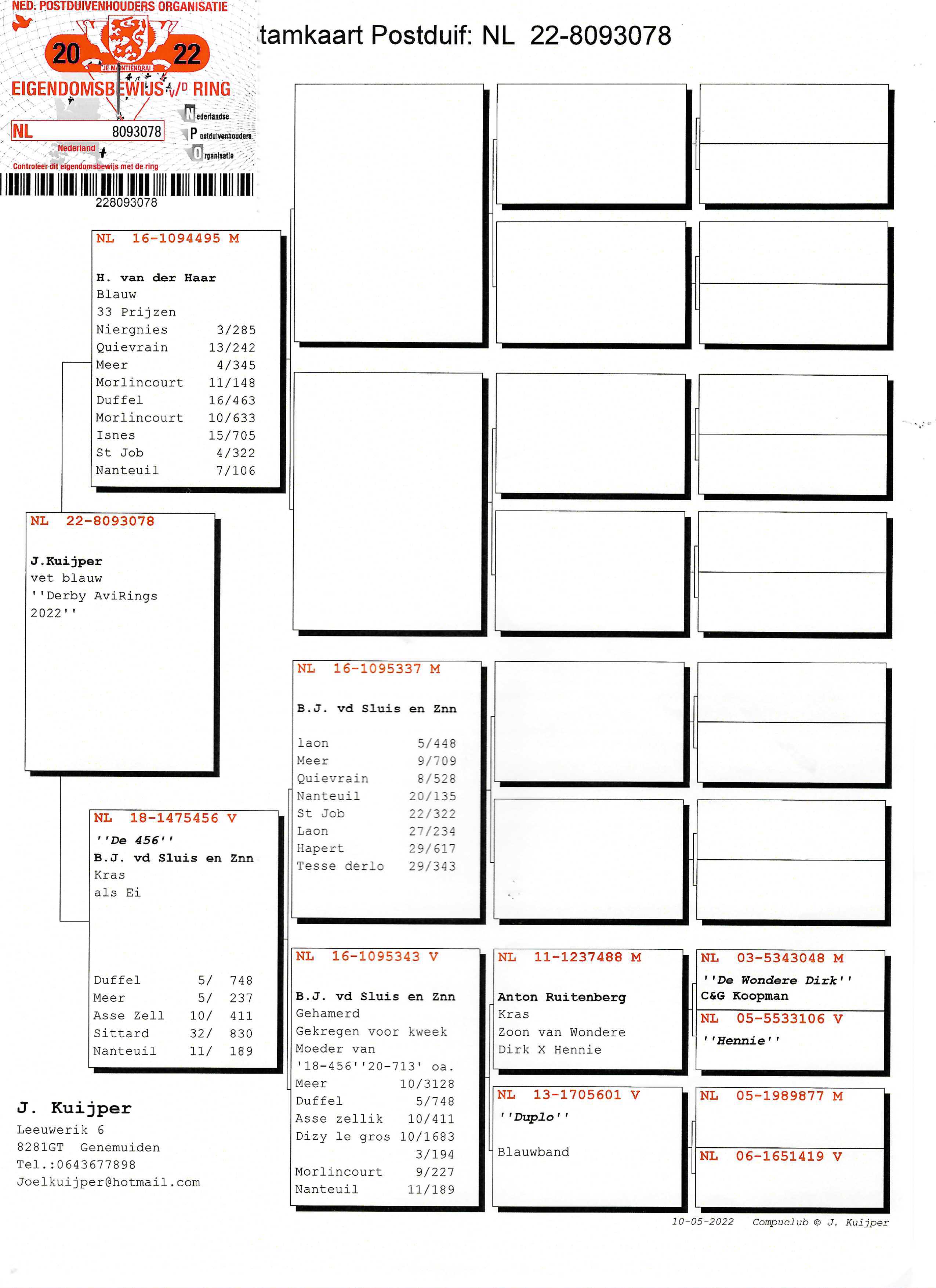 Pigeon pedigree image