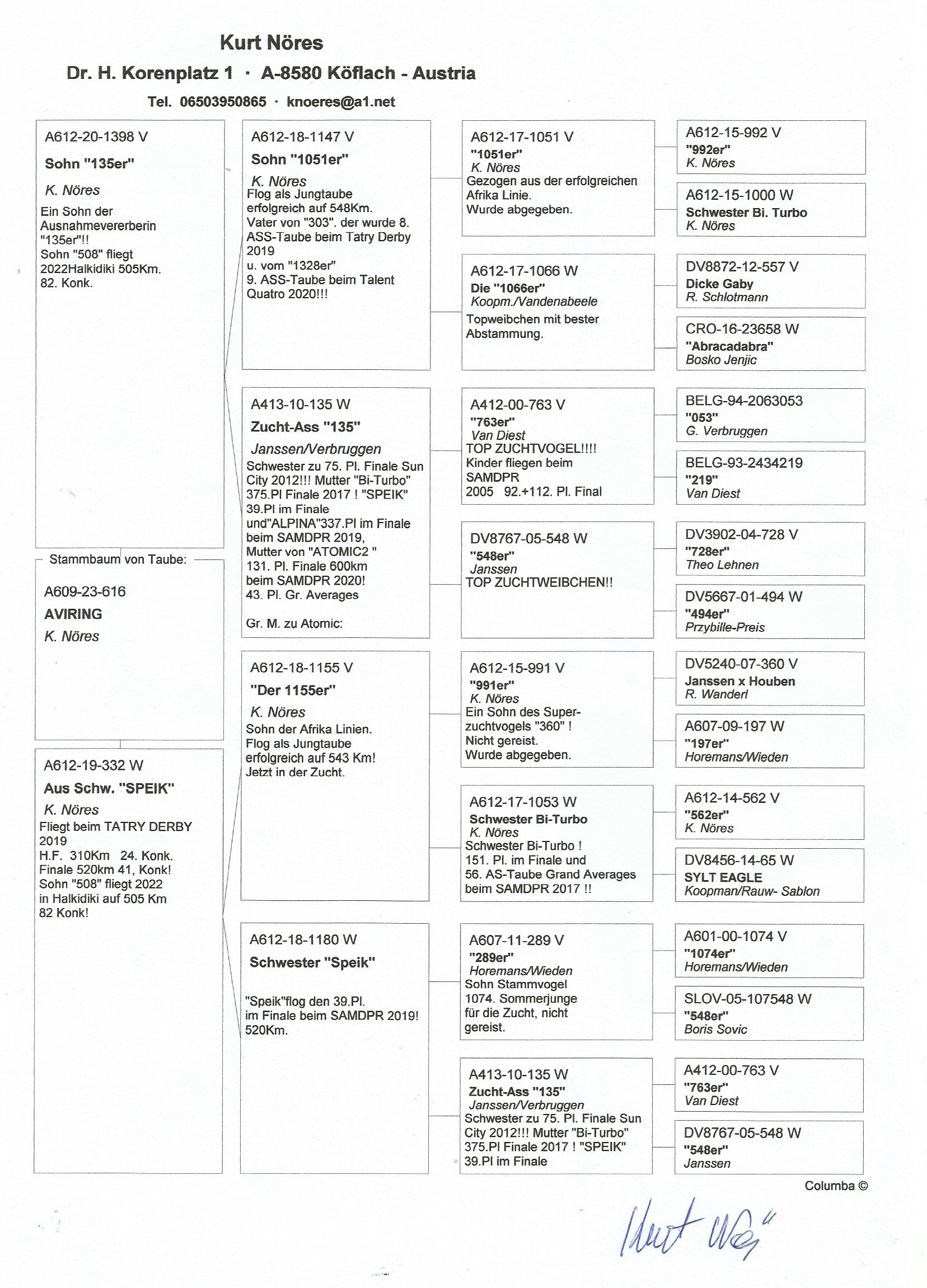 Pigeon pedigree image