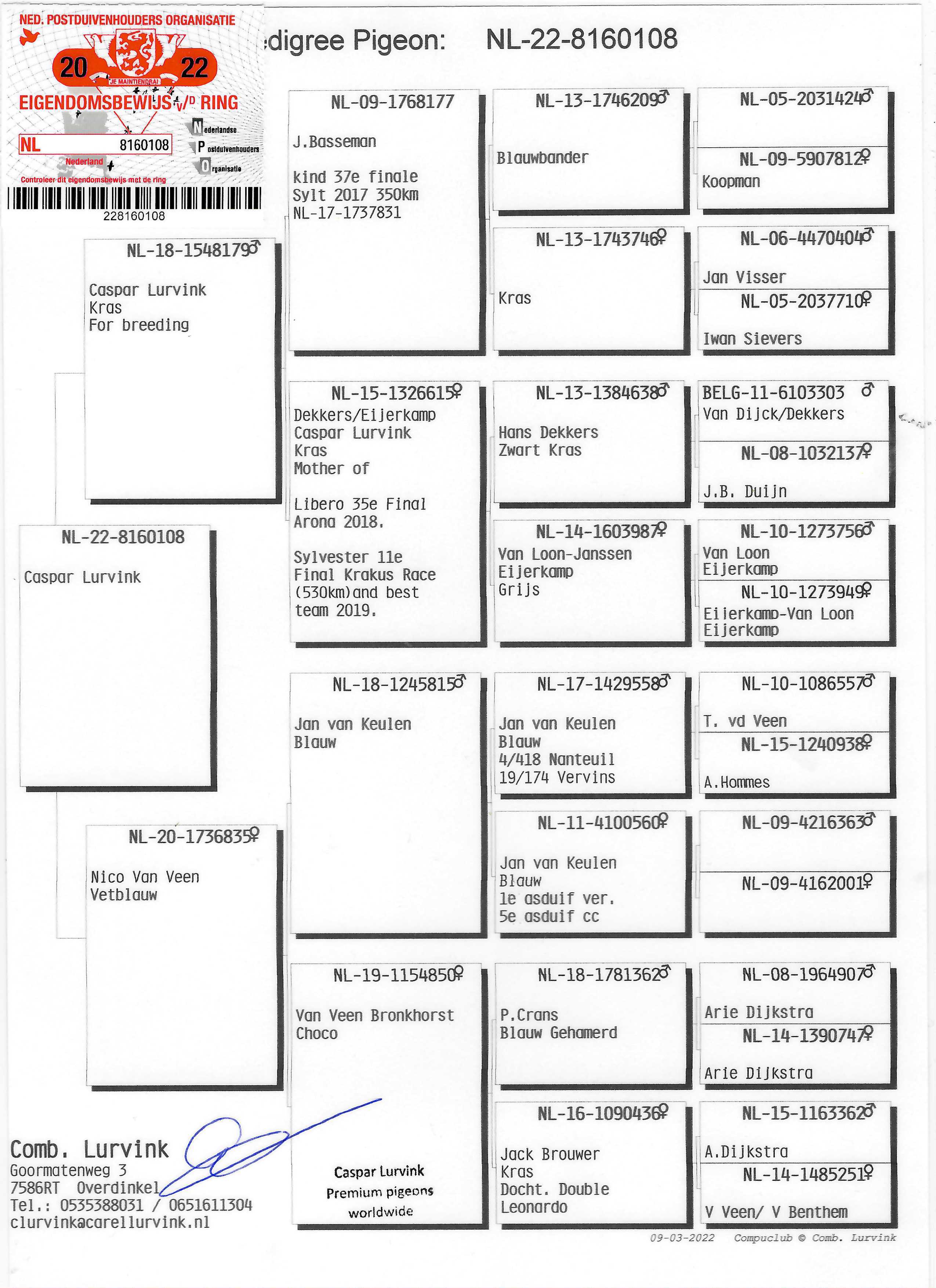 Pigeon pedigree image