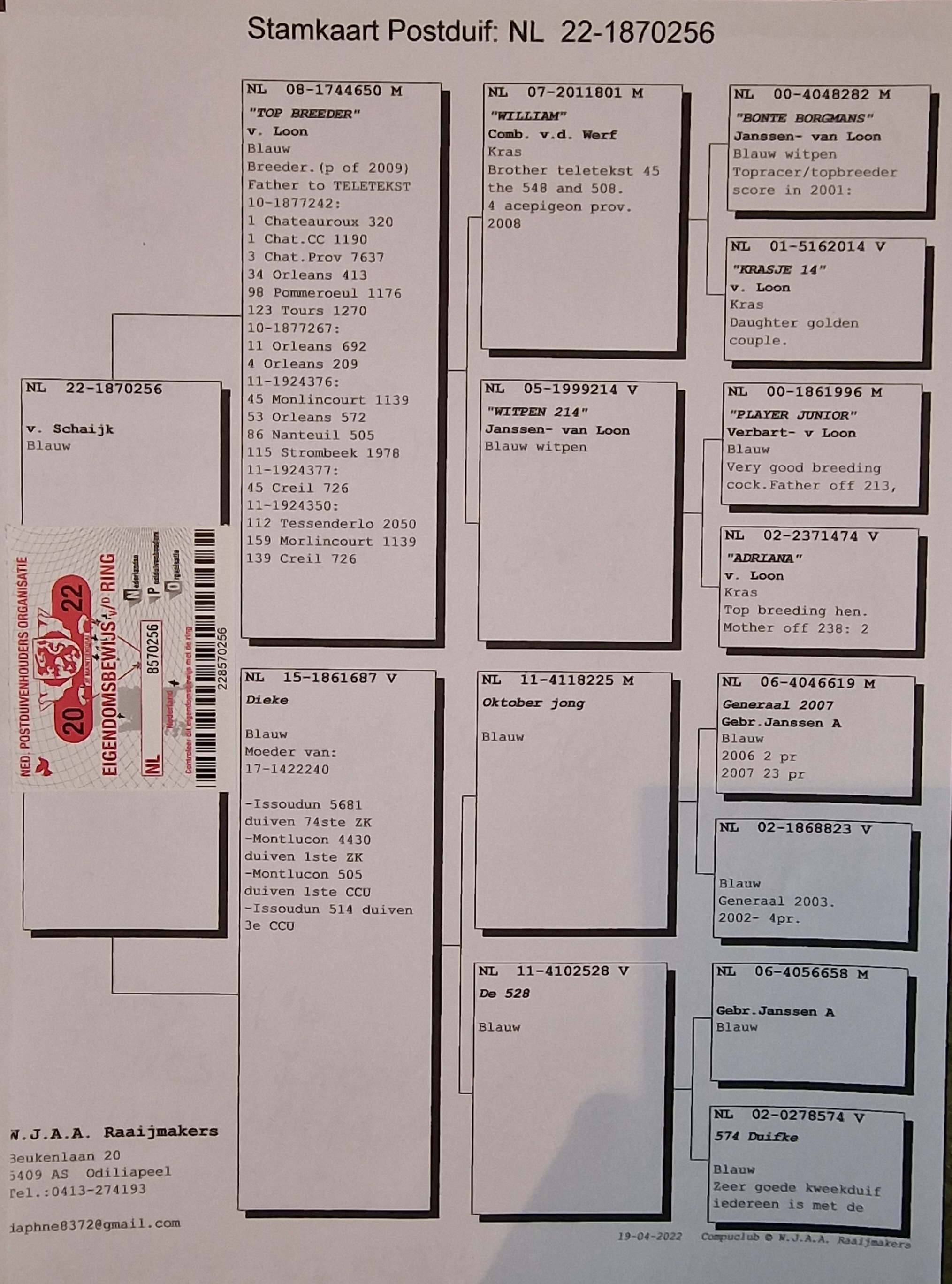 Pigeon pedigree image