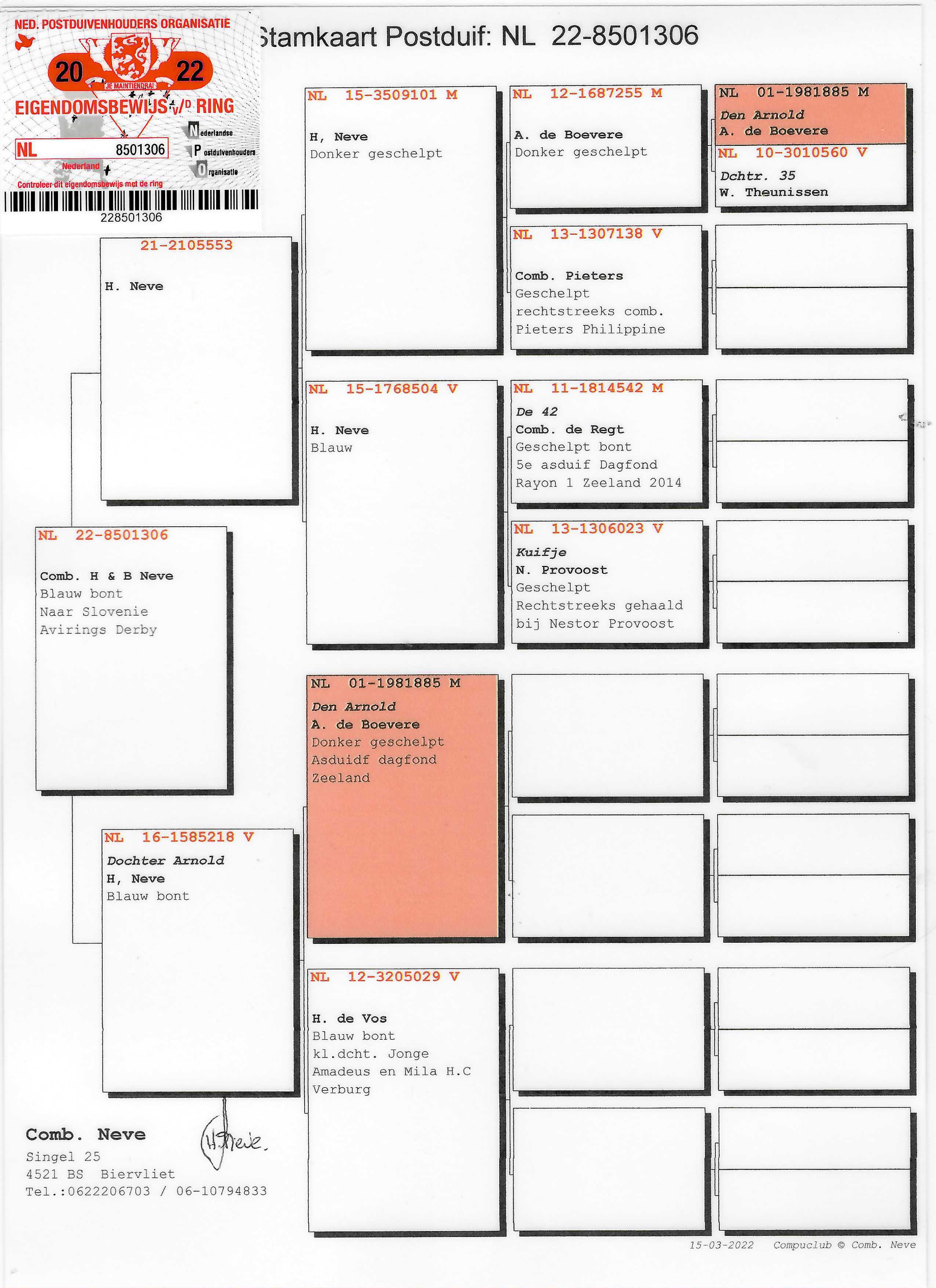 Pigeon pedigree image
