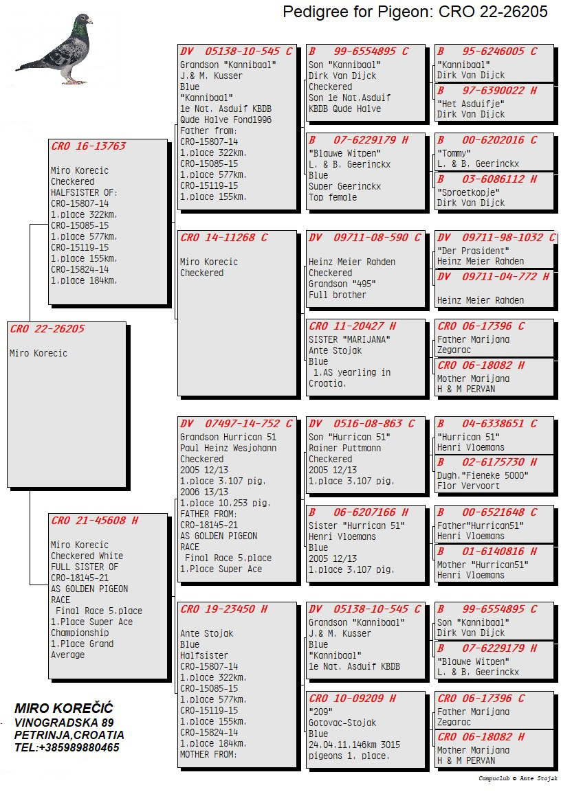 Pigeon pedigree image
