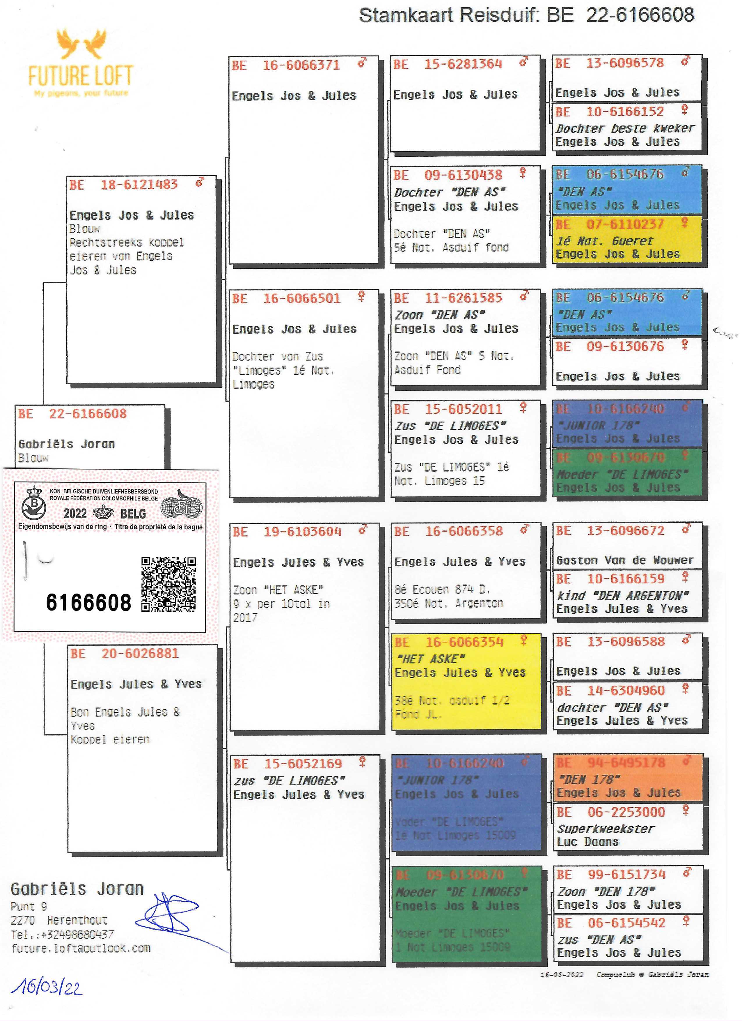 Pigeon pedigree image