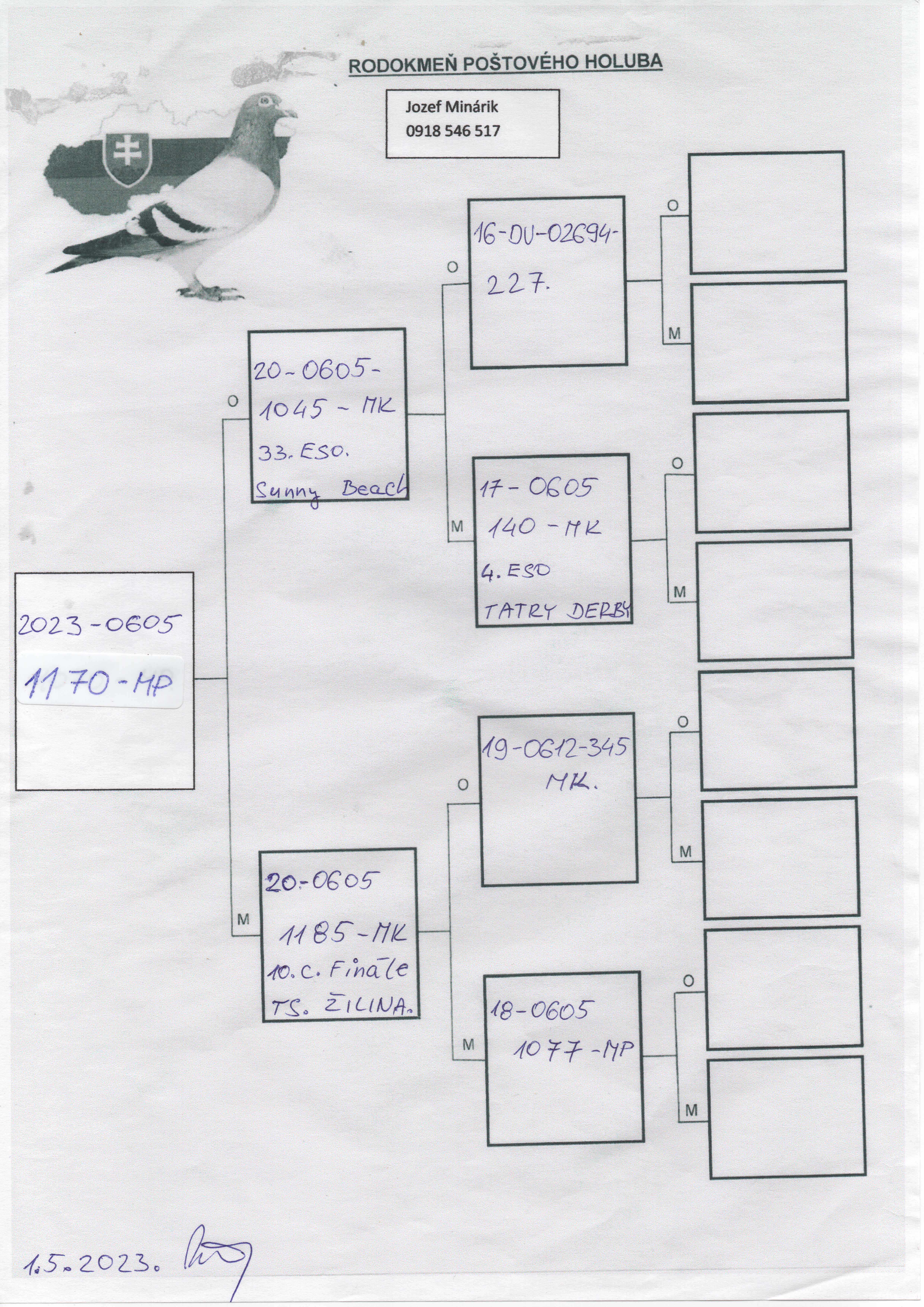 Pigeon pedigree image
