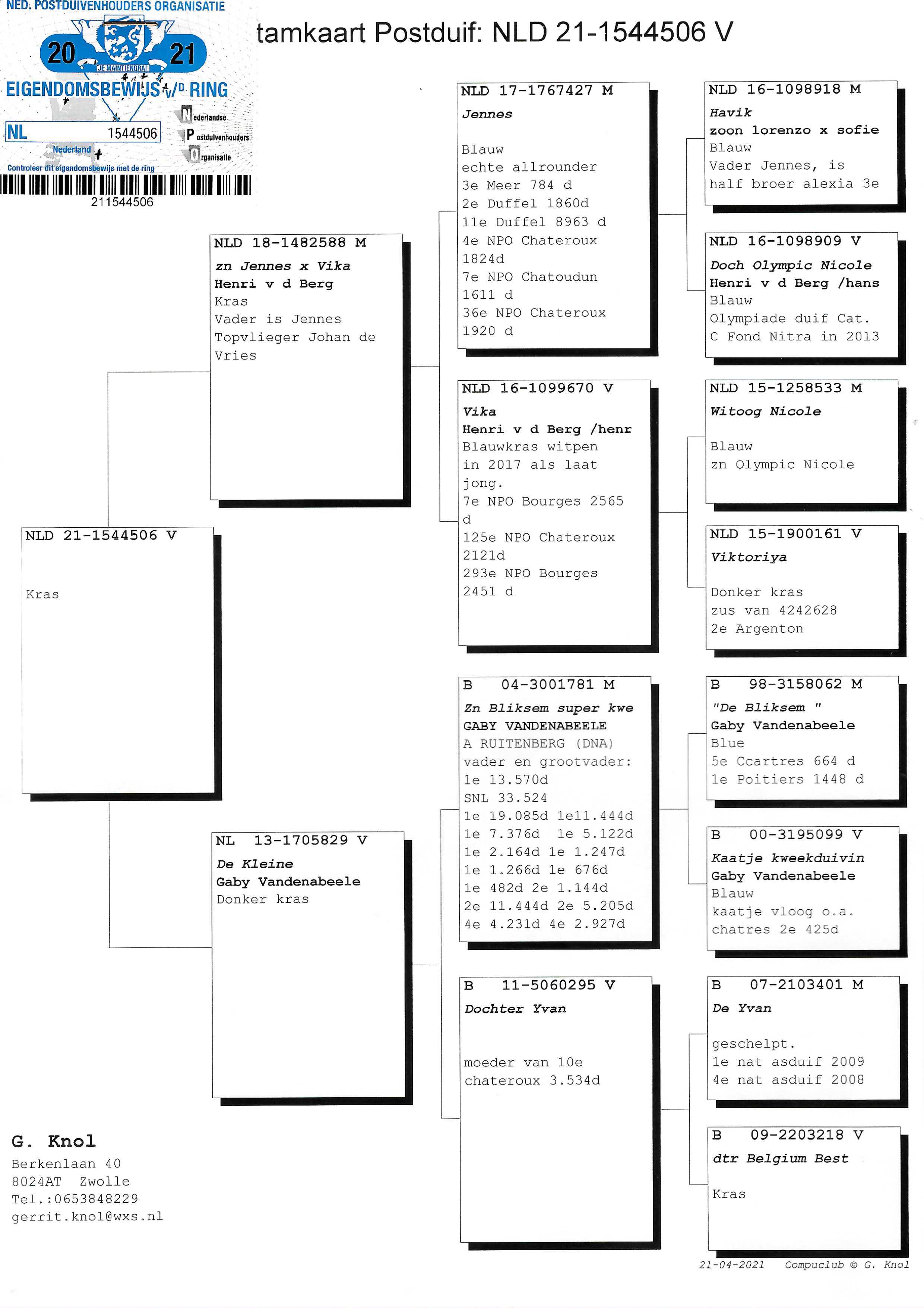 Pigeon pedigree image