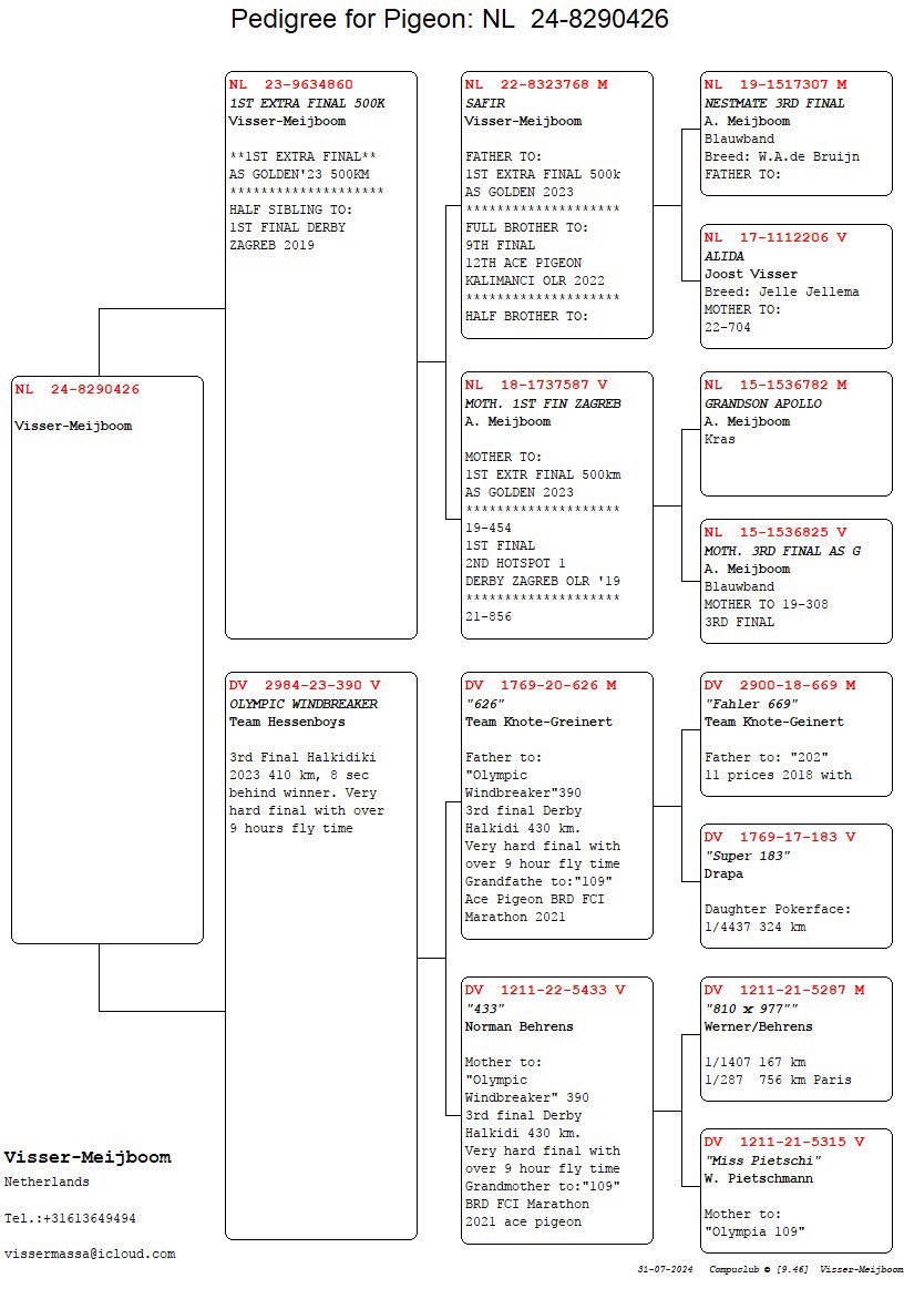 Pigeon pedigree image